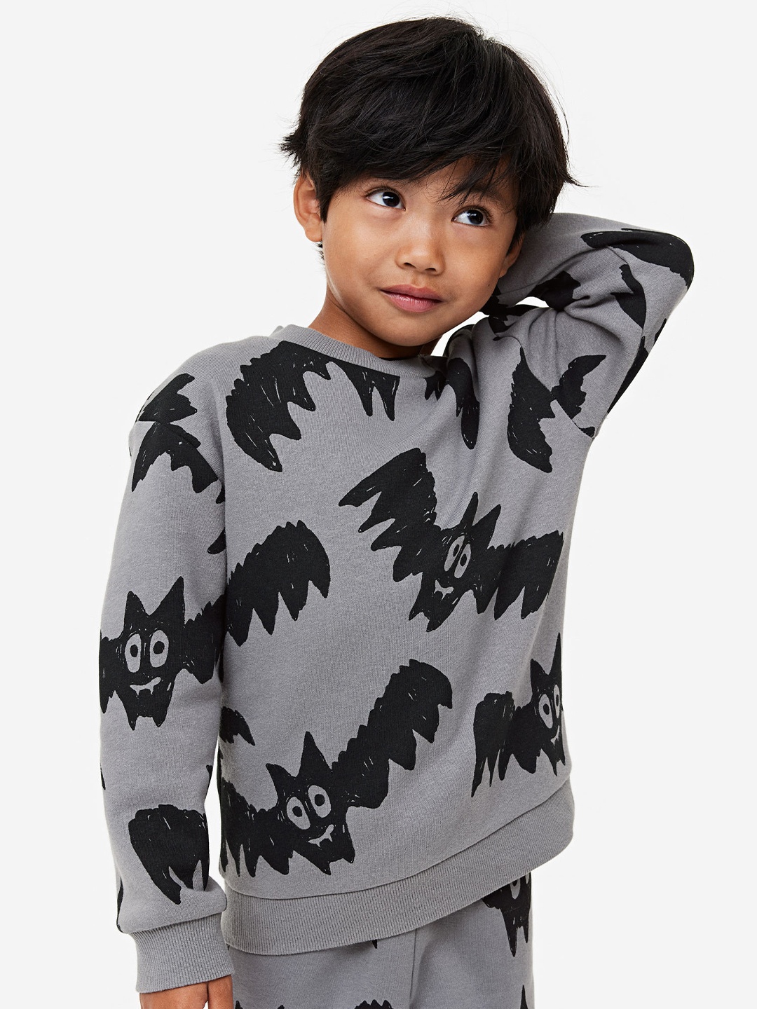 

H&M Boys Sweatshirt, Grey