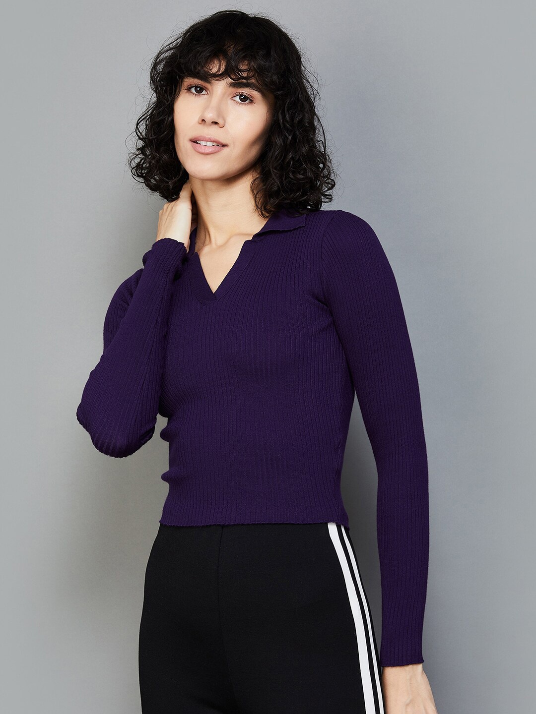 

Ginger by Lifestyle Self Design Shirt Collar Fitted Top, Purple