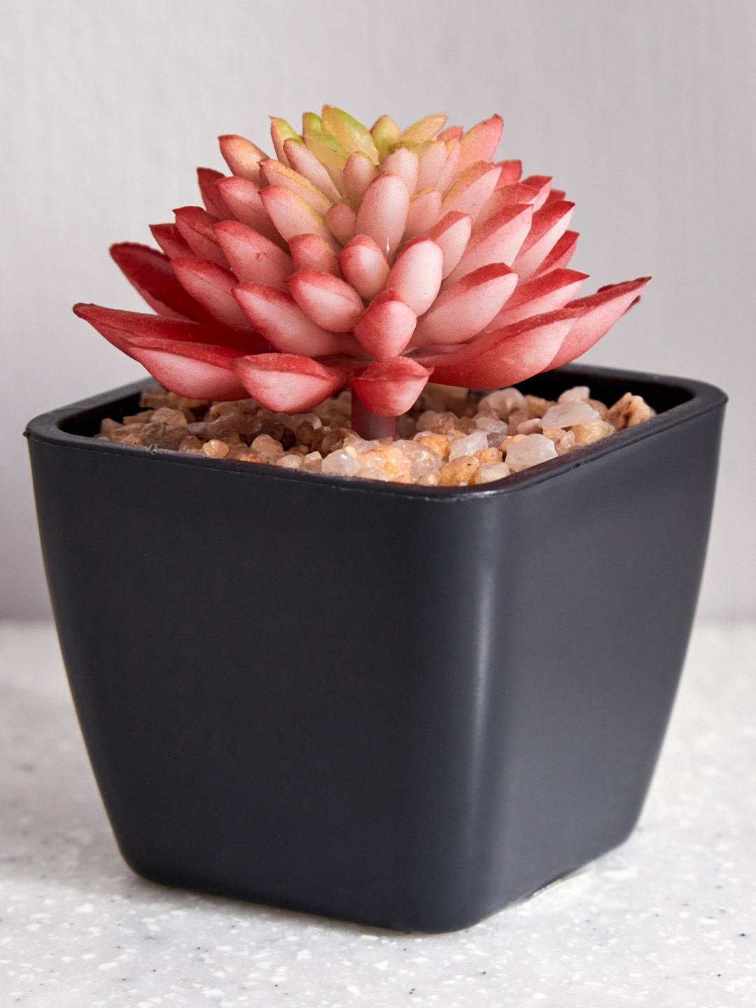 

Home Centre Orange-Coloured & Black Artificial Flower With Pot