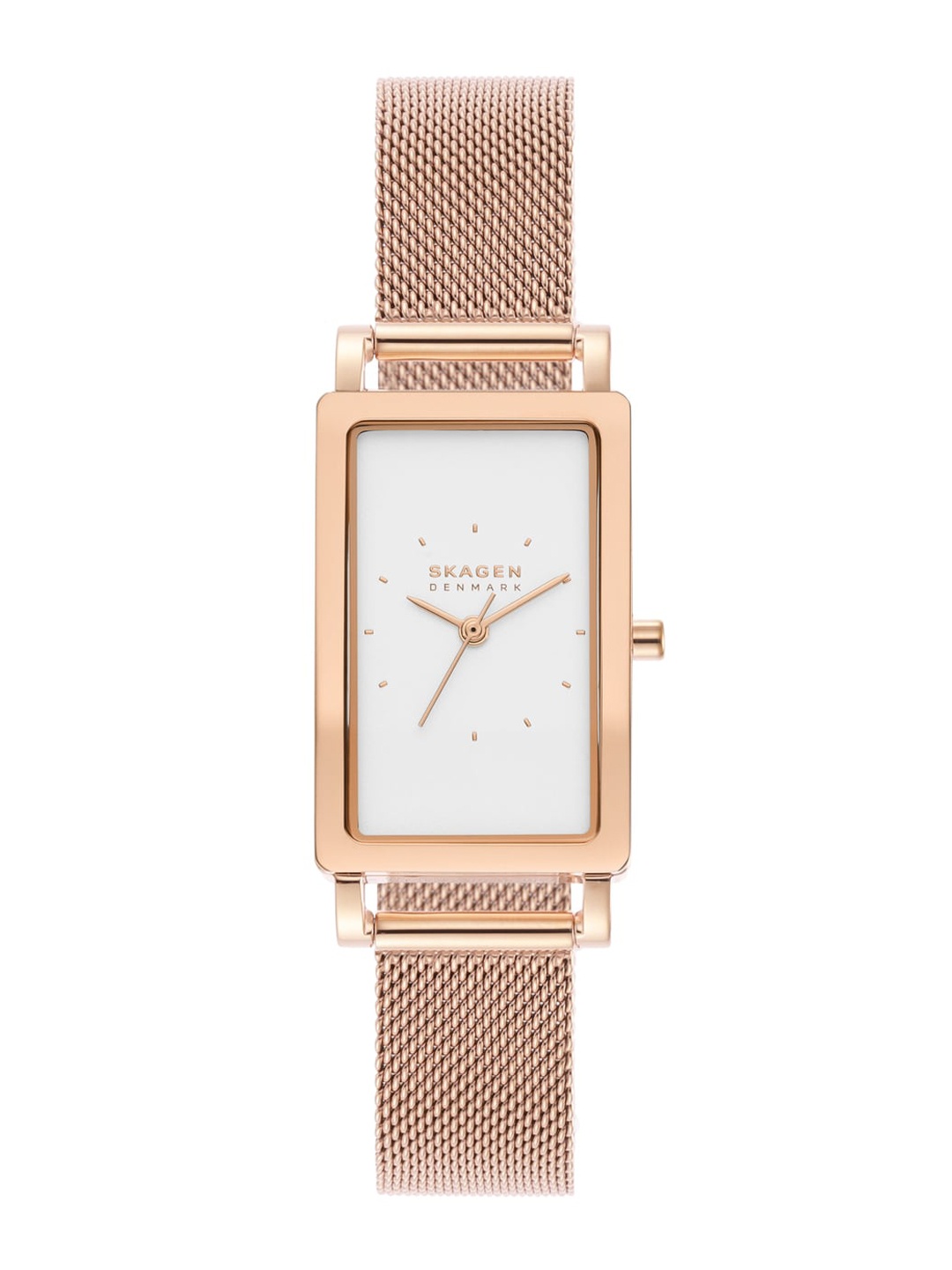 

SKAGEN Women Dial & Stainless Steel Straps Analogue Watch SKW3095, Rose gold