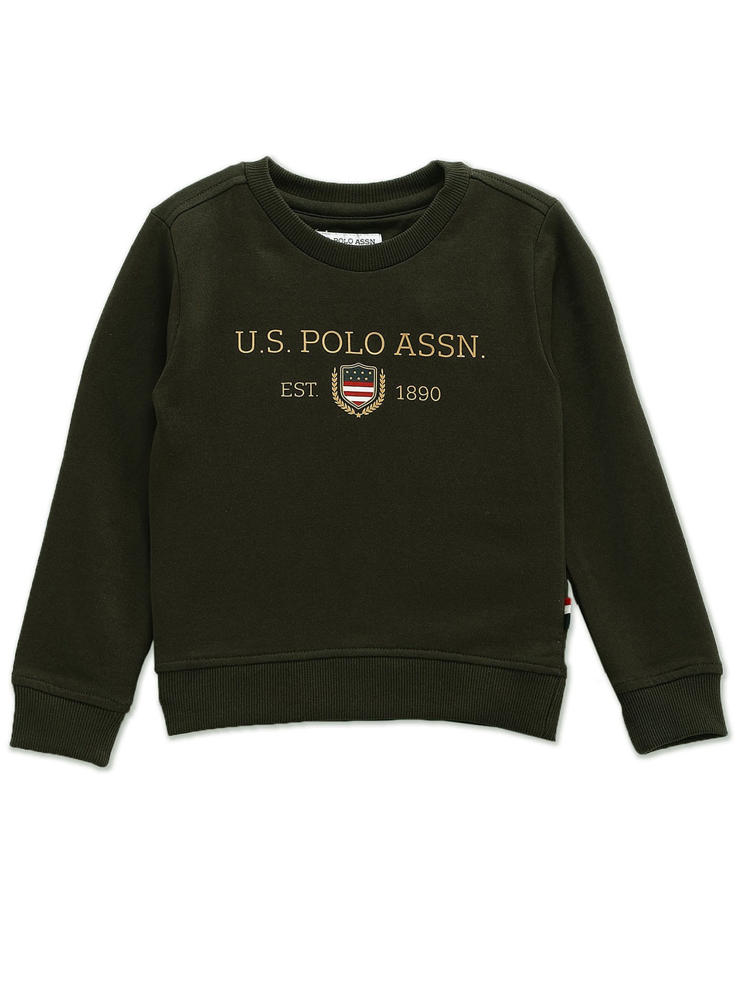 

U.S. Polo Assn. Kids Boys Typography Printed Pure Cotton Pullover, Green