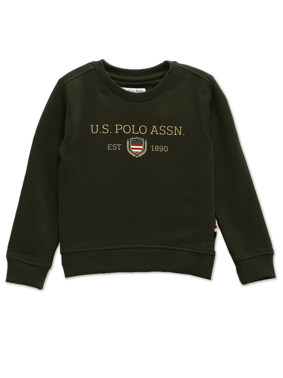 

U.S. Polo Assn. Kids Boys Typography Printed Cotton Sweatshirt, Green