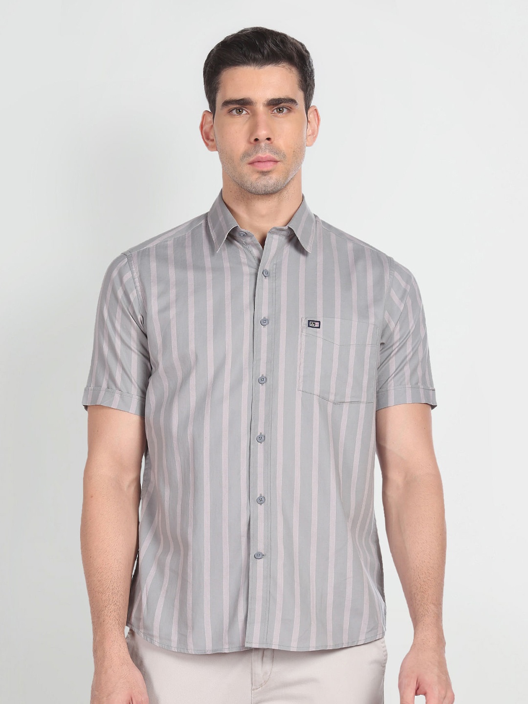 

Arrow Sport Vertical Striped Regular Fit Pure Cotton Casual Shirt, Grey