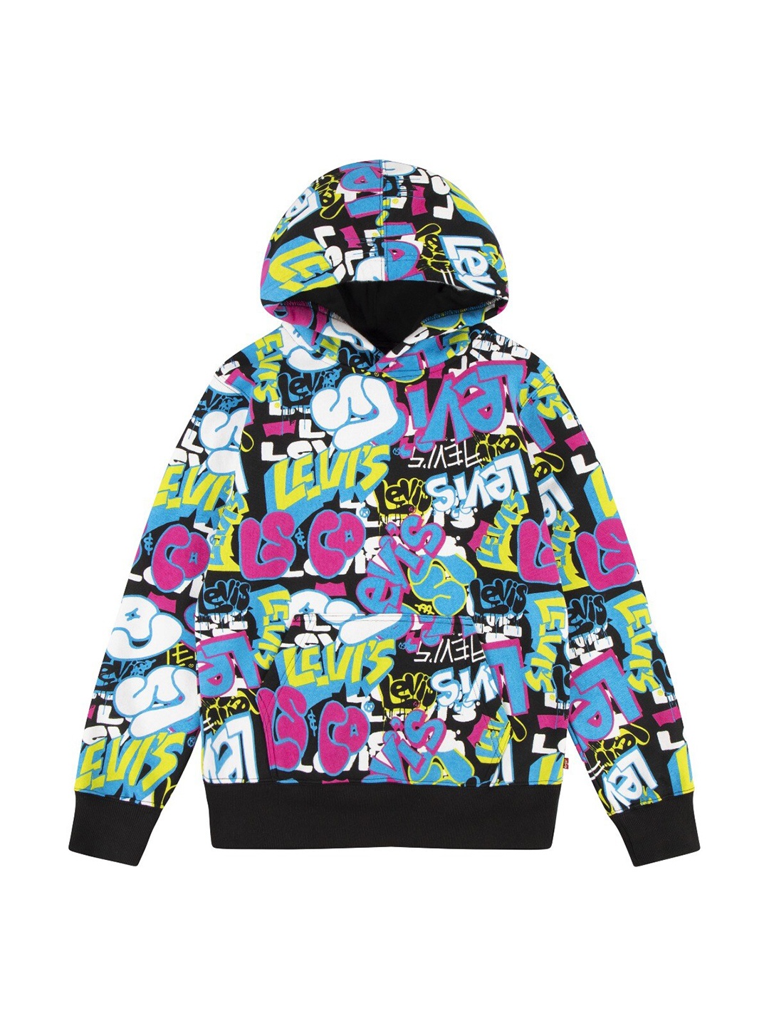 

Levis Boys Typography Printed Hooded Pullover, Blue