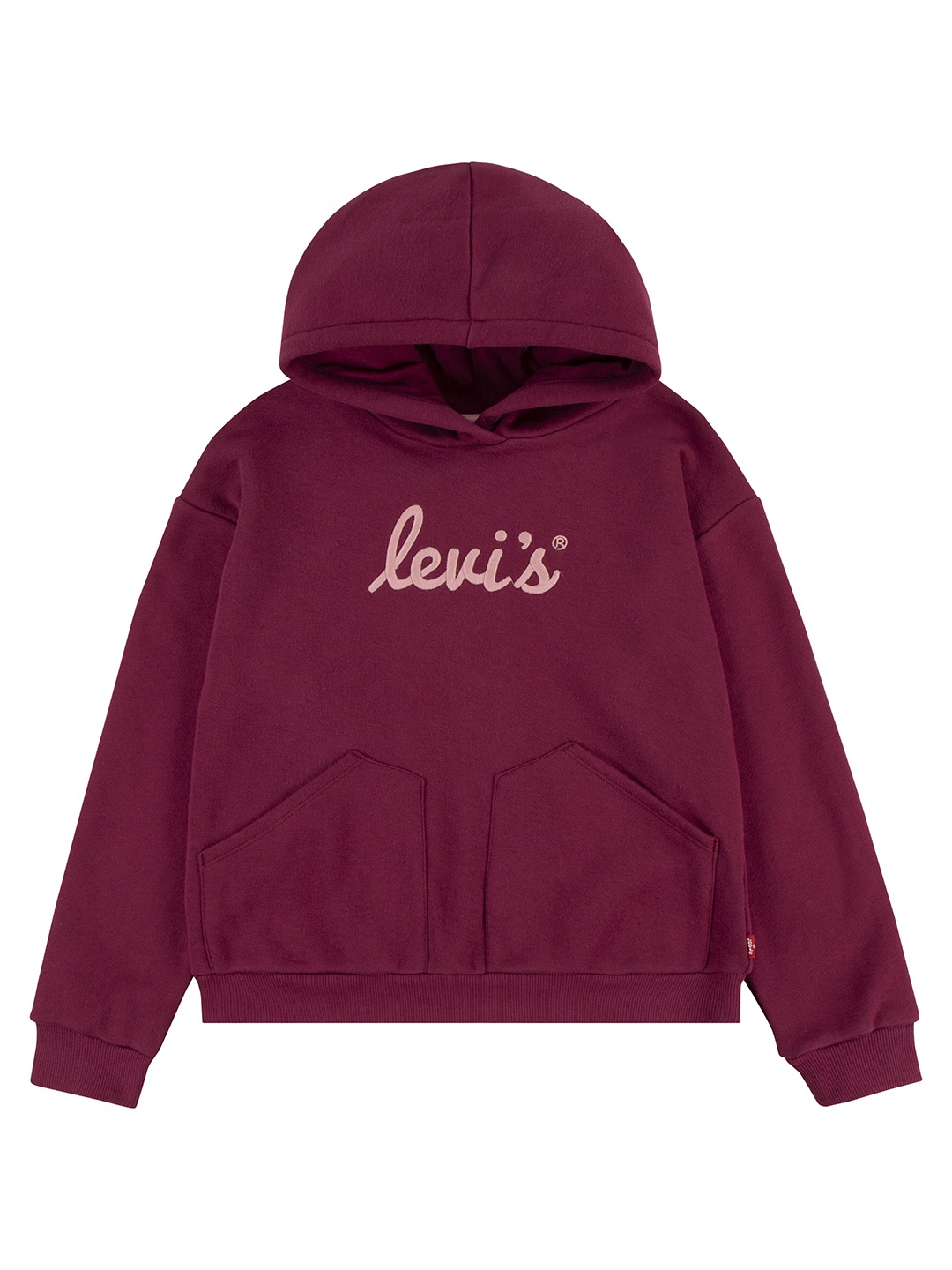 

Levis Girls Printed Hooded Sweatshirt, Purple