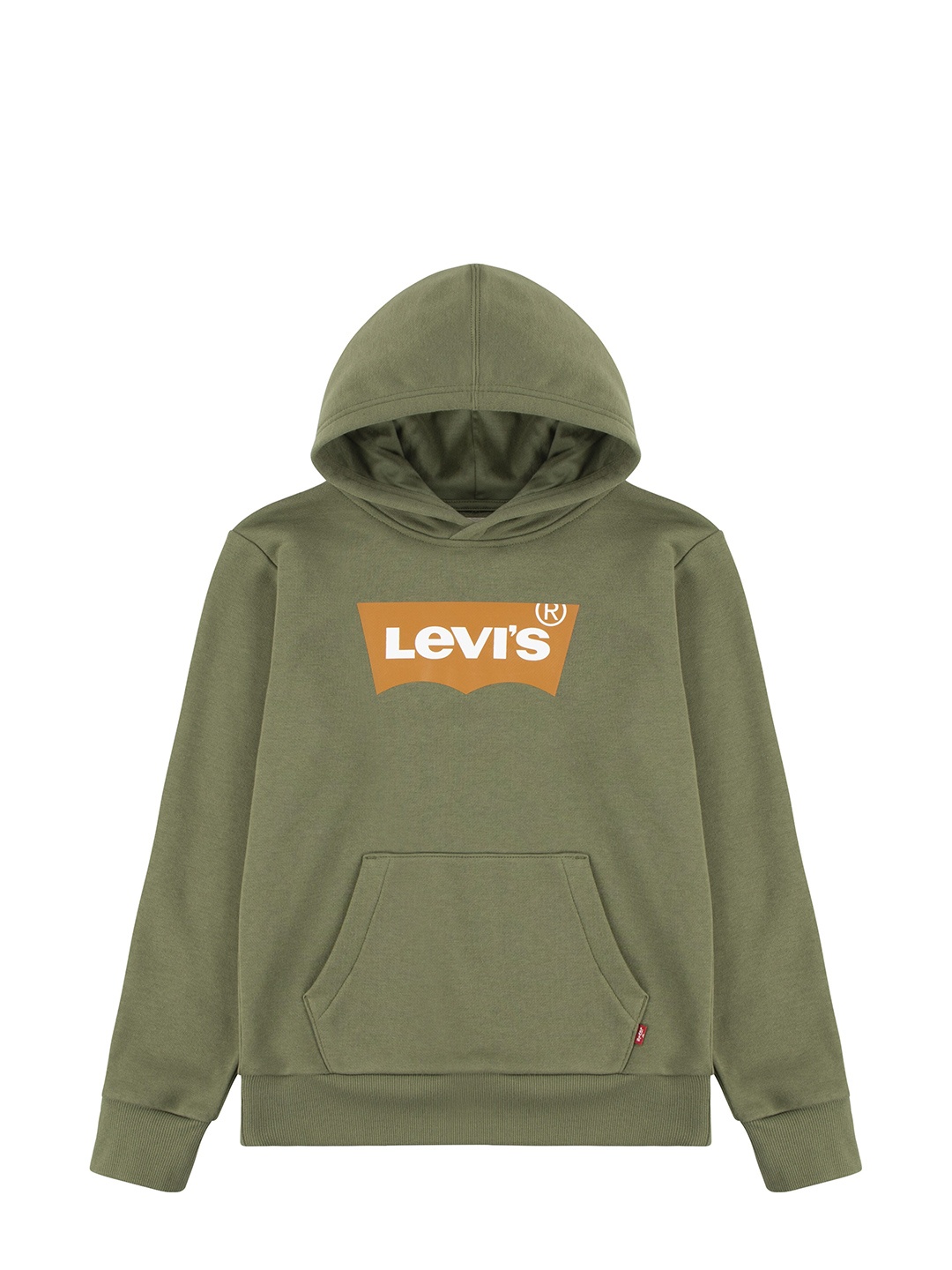 

Levis Boys Printed Hooded Fleece Sweatshirt, Olive