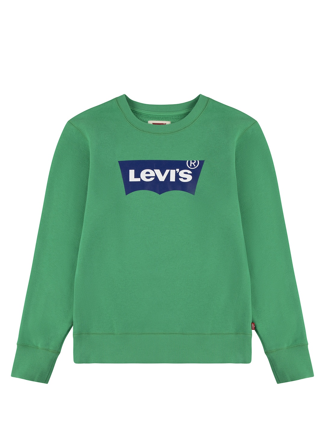 

Levis Boys Brand Logo Printed Pullover, Green