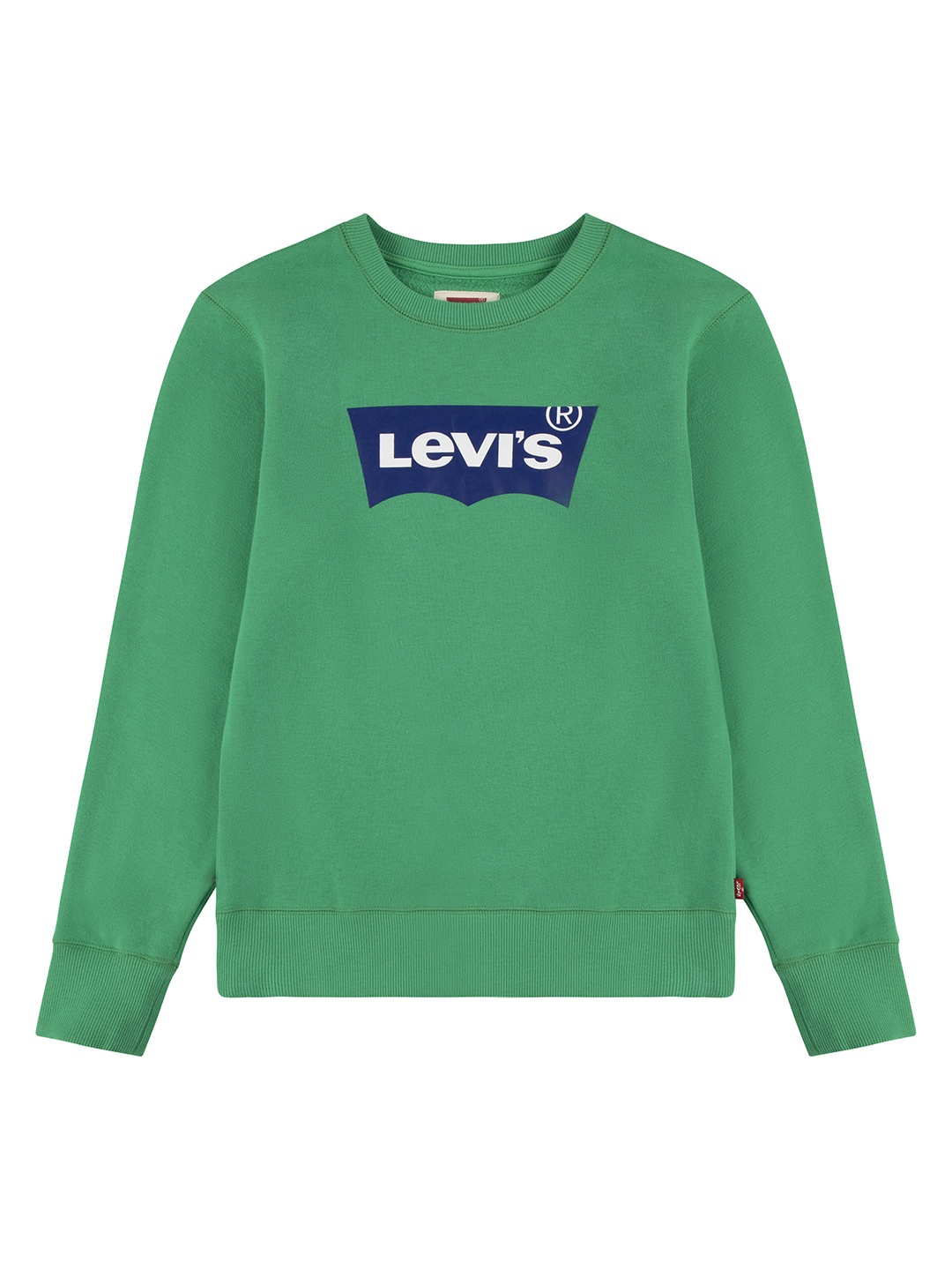 

Levis Boys Printed Round Neck Sweatshirt, Green