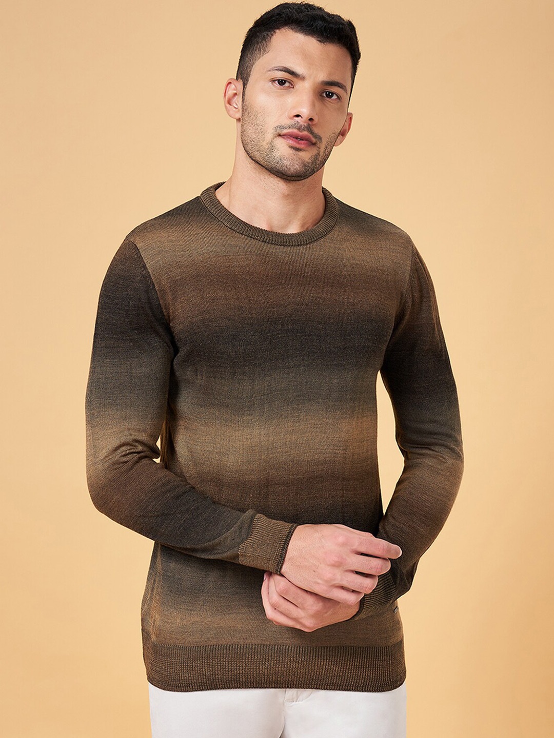 

BYFORD by Pantaloons Long Sleeves Striped Pullover, Brown