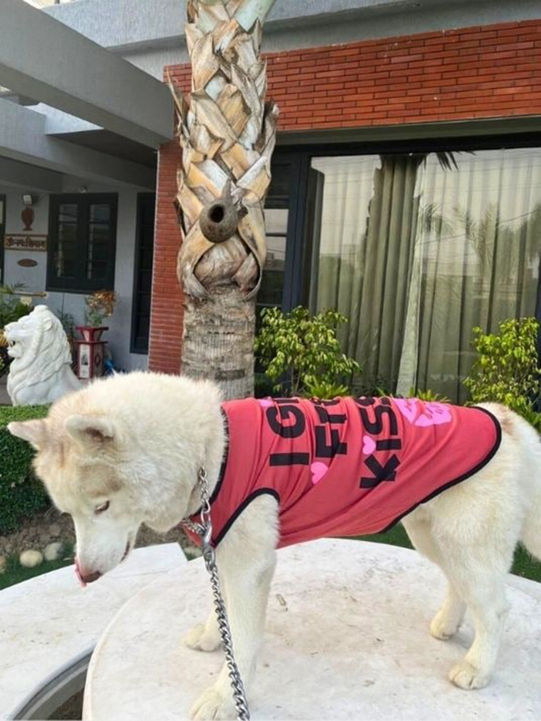 

Lulala Printed Dog T-shirt, Red