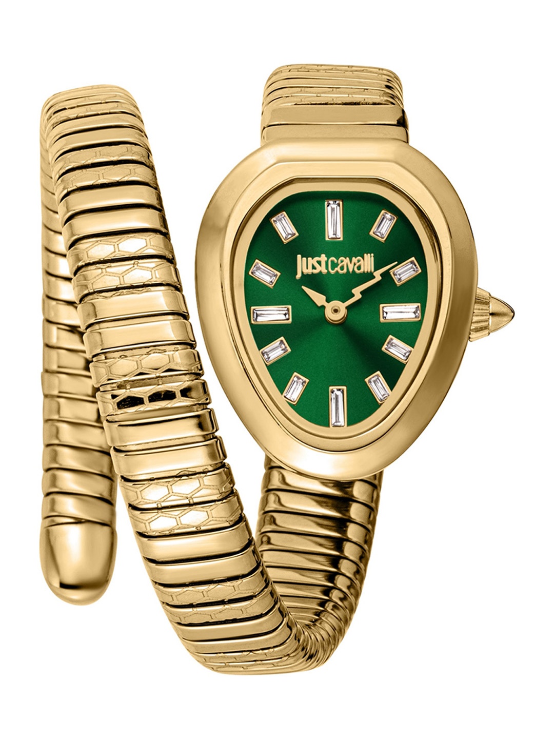 

Just Cavalli Women Oval Stainless Steel Analogue Watch JC1L222M0035, Green