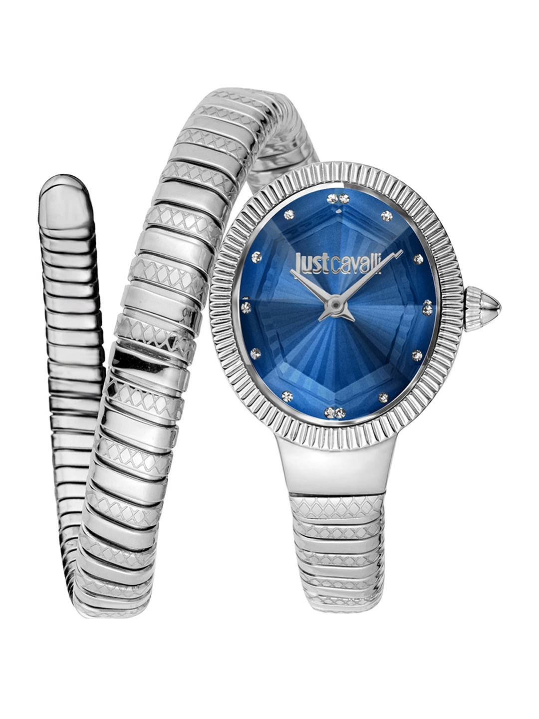 

Just Cavalli Women Round Stainless Steel Analogue Watch JC1L268M0015, Blue