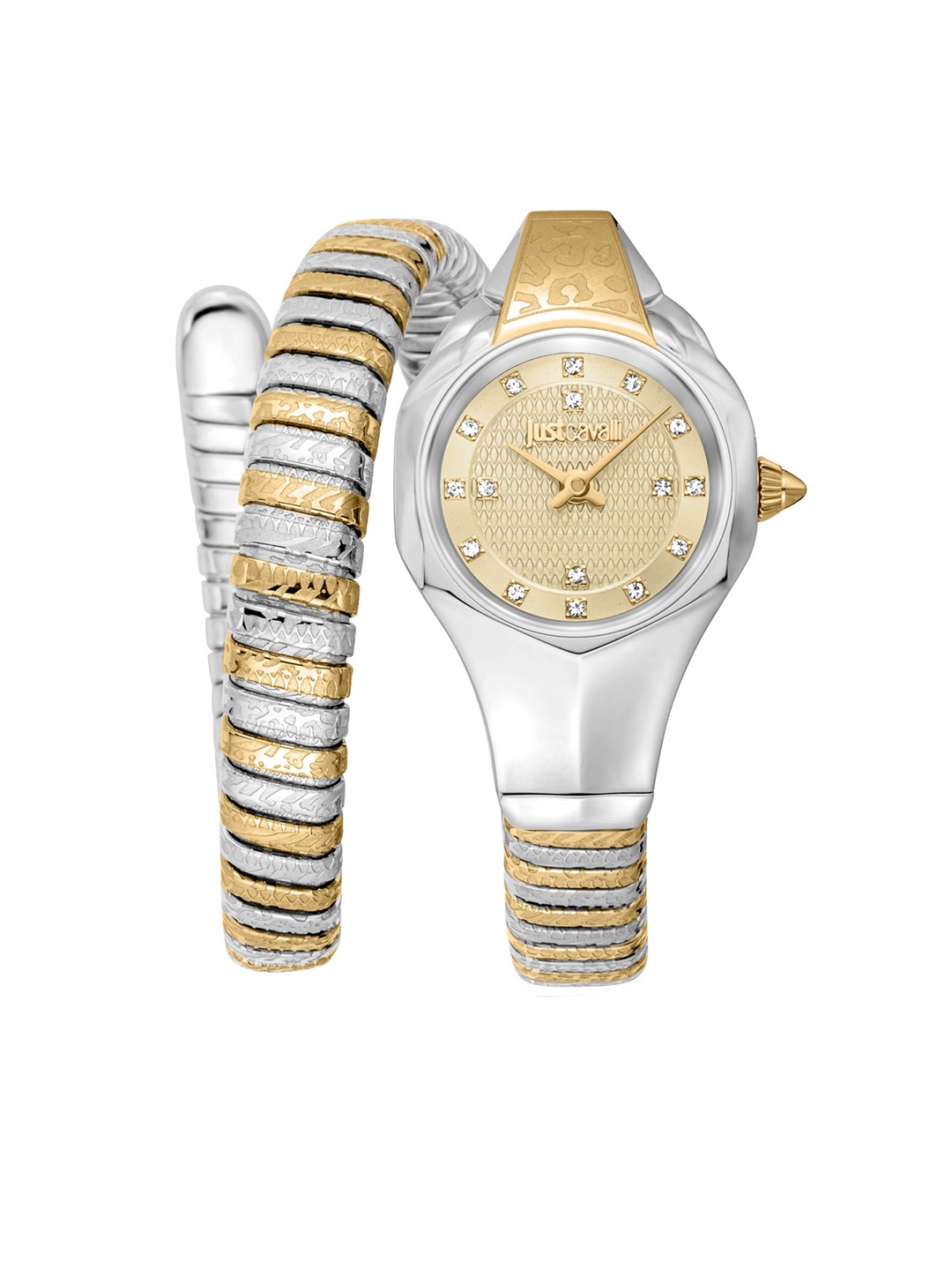 

Just Cavalli Women Round Stainless Steel Analogue Watch JC1L270M0055, Gold