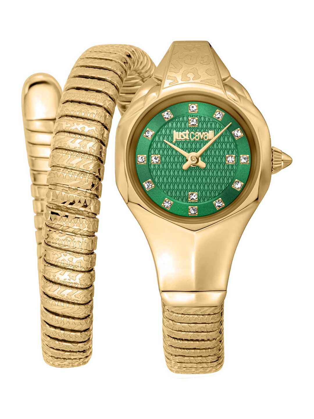 

Just Cavalli Women Stainless Steel Analogue Watch JC1L270M0035, Green