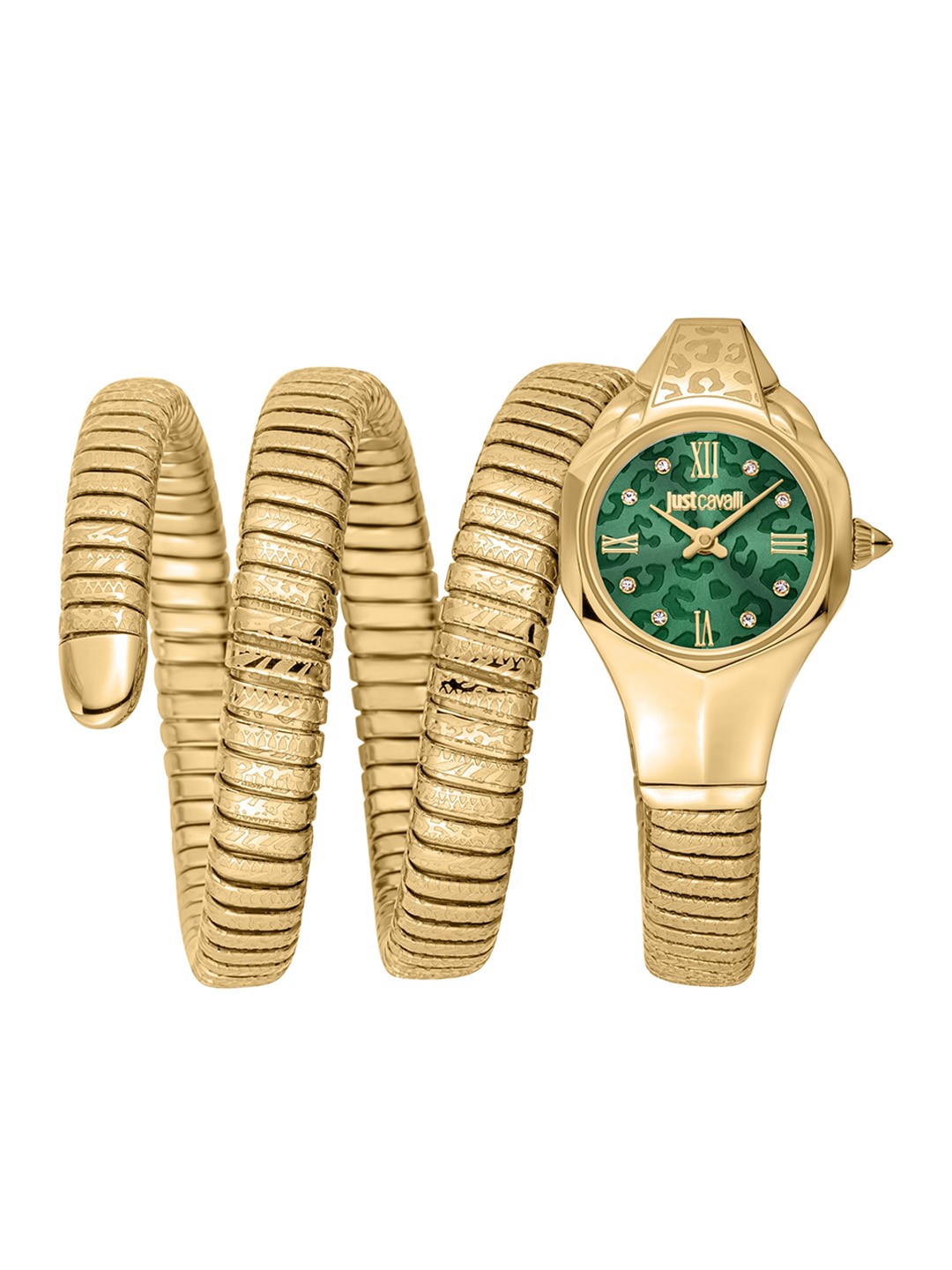 

Just Cavalli Women Round Stainless Steel Analogue Watch JC1L271M0035, Green