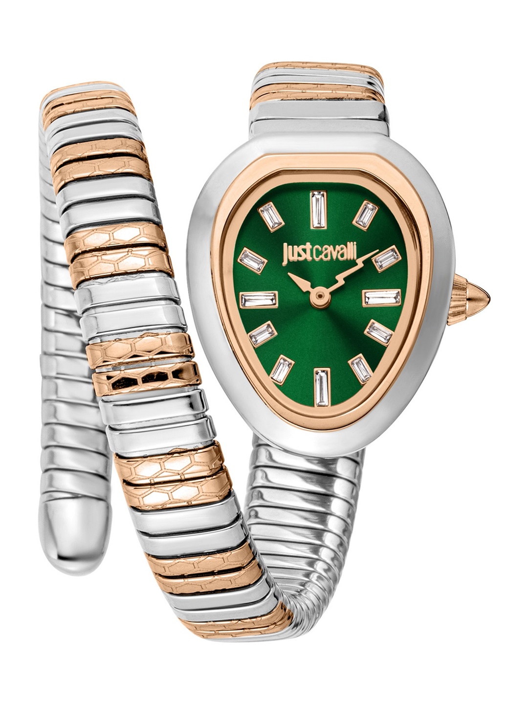 

Just Cavalli Women Oval Stainless Steel Analogue Watch JC1L222M0075, Green
