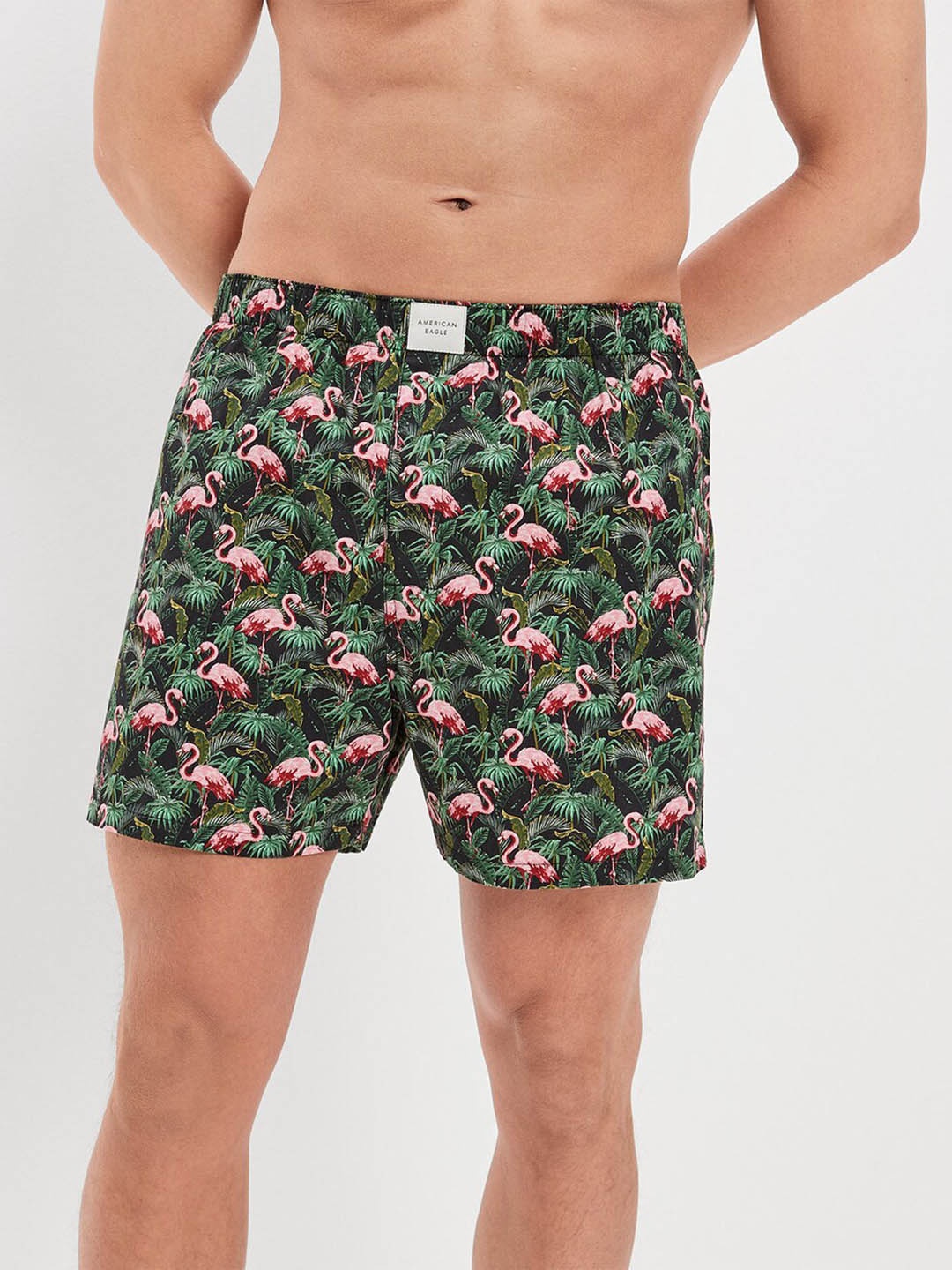 

AMERICAN EAGLE OUTFITTERS Tropical Printed Anti-Roll Boxers WES0233333300, Green
