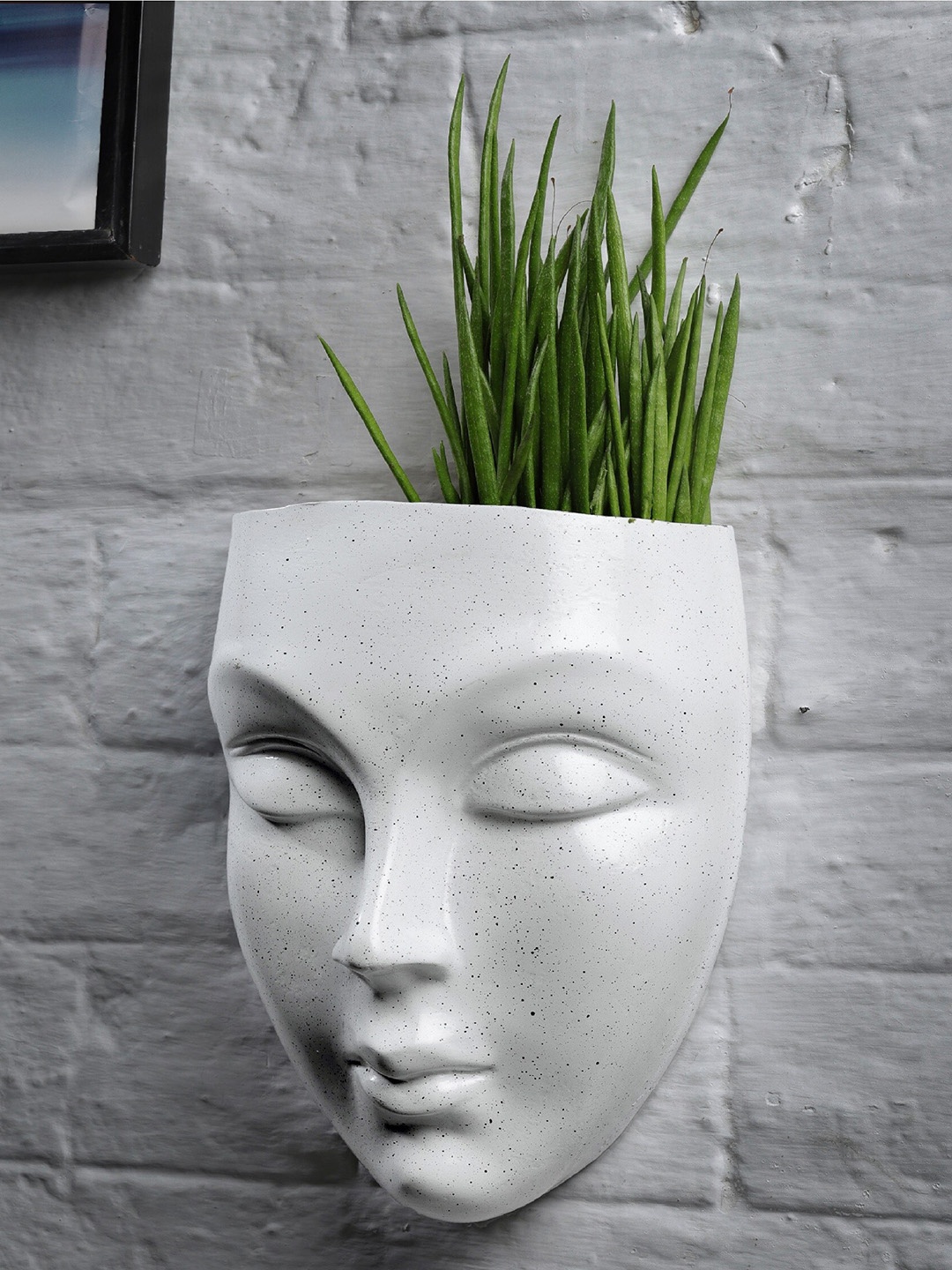

Stylespace by Isha White 2 Pieces Textured Face Planters