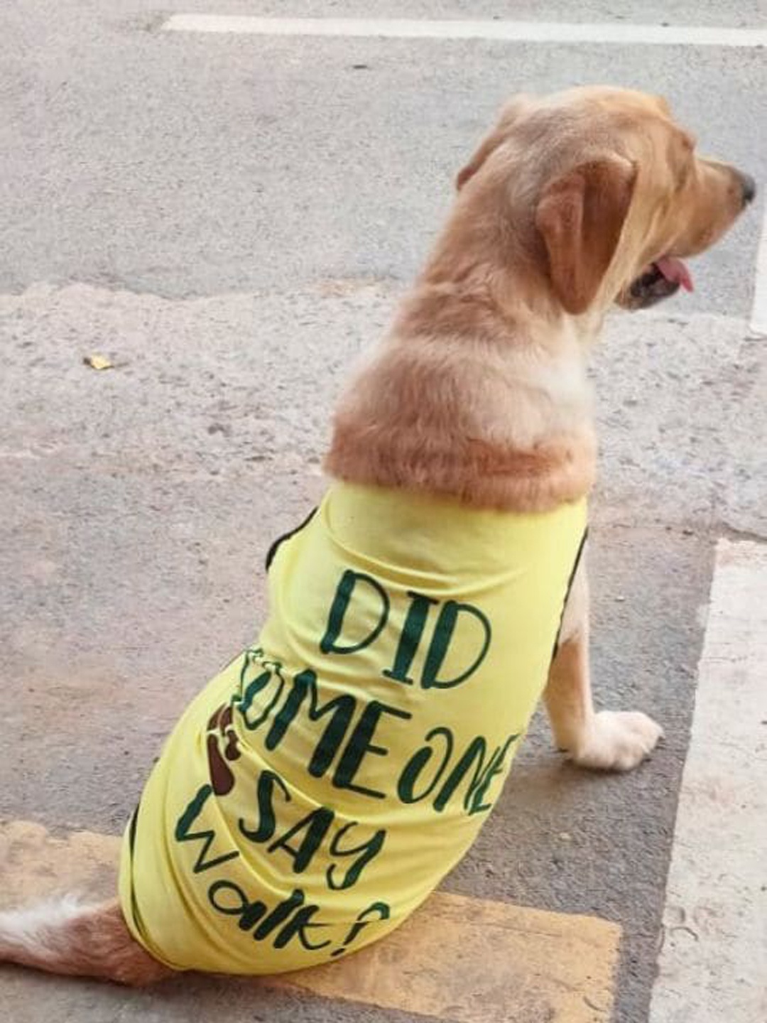 

Lulala Printed Dog T-shirt, Yellow
