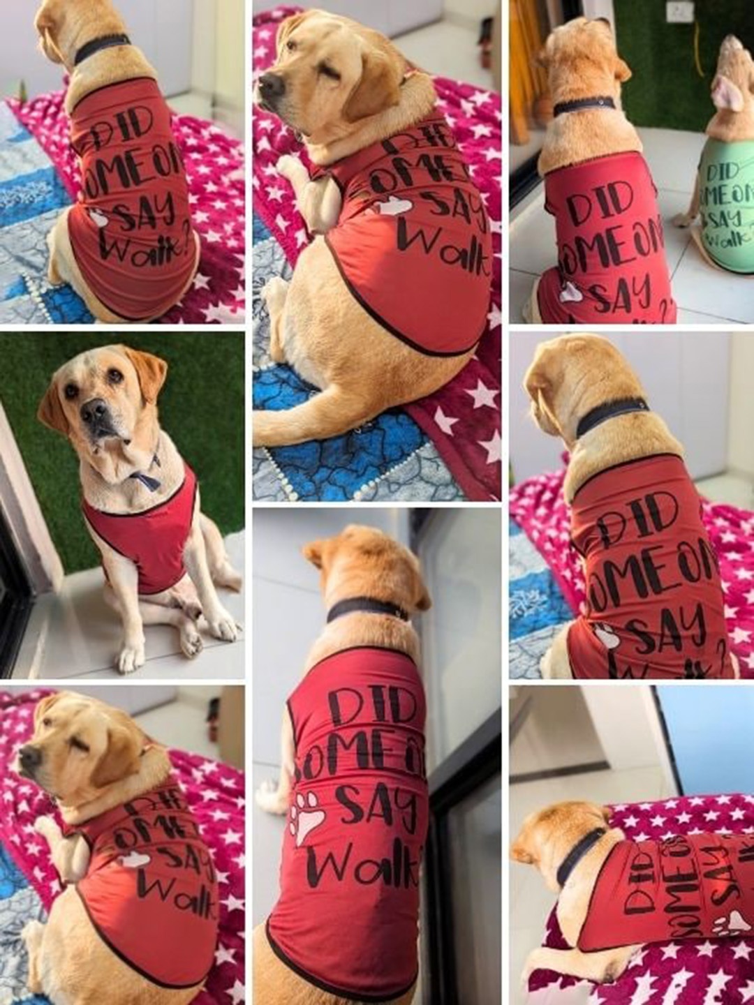 

Lulala Printed Dog T-shirt, Red