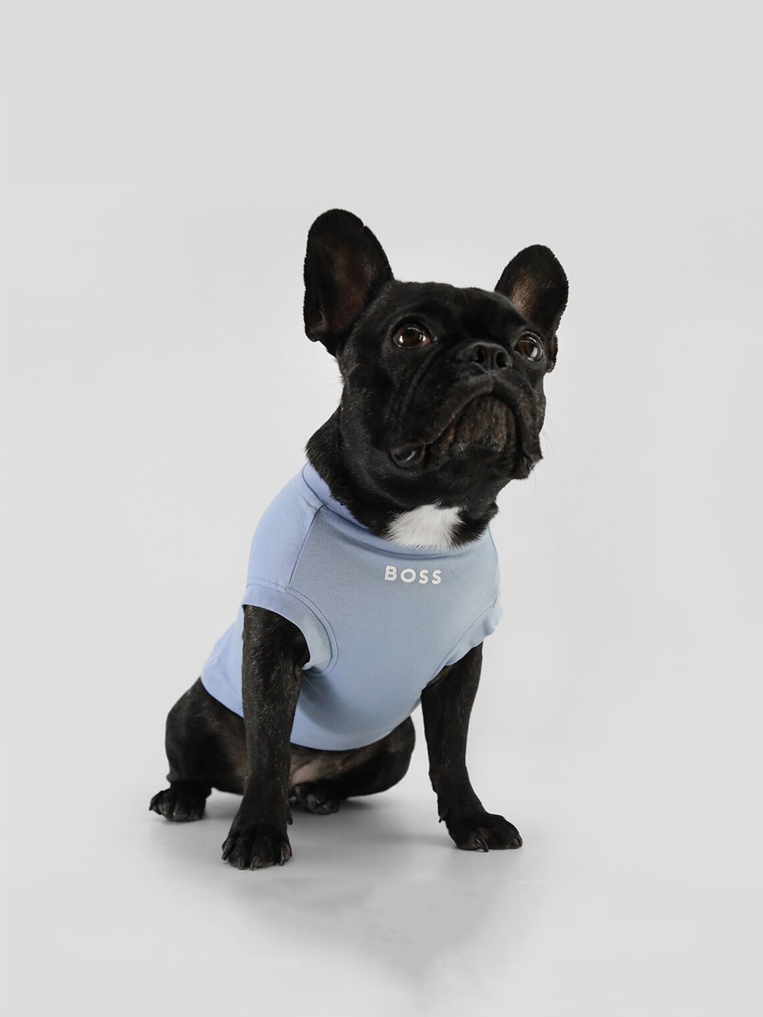 

BOSS Brand Logo Printed Pure Cotton Dog T-shirt, Blue