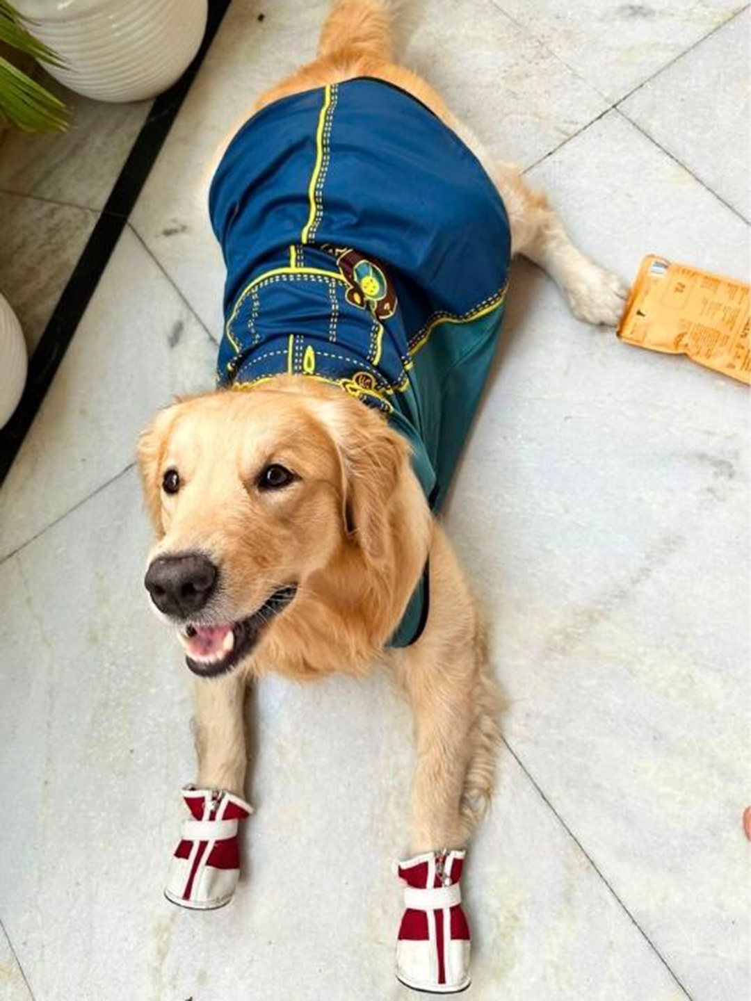 

Lulala Printed Dog T-Shirt, Blue