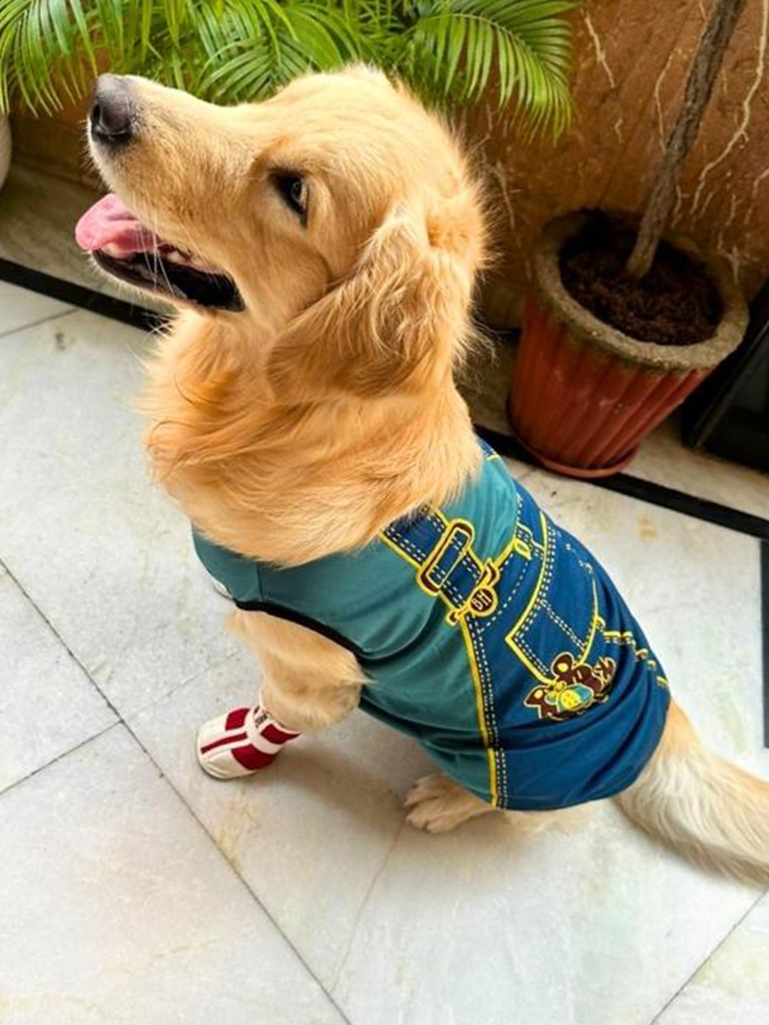 

Lulala Printed Dog T-Shirt, Blue