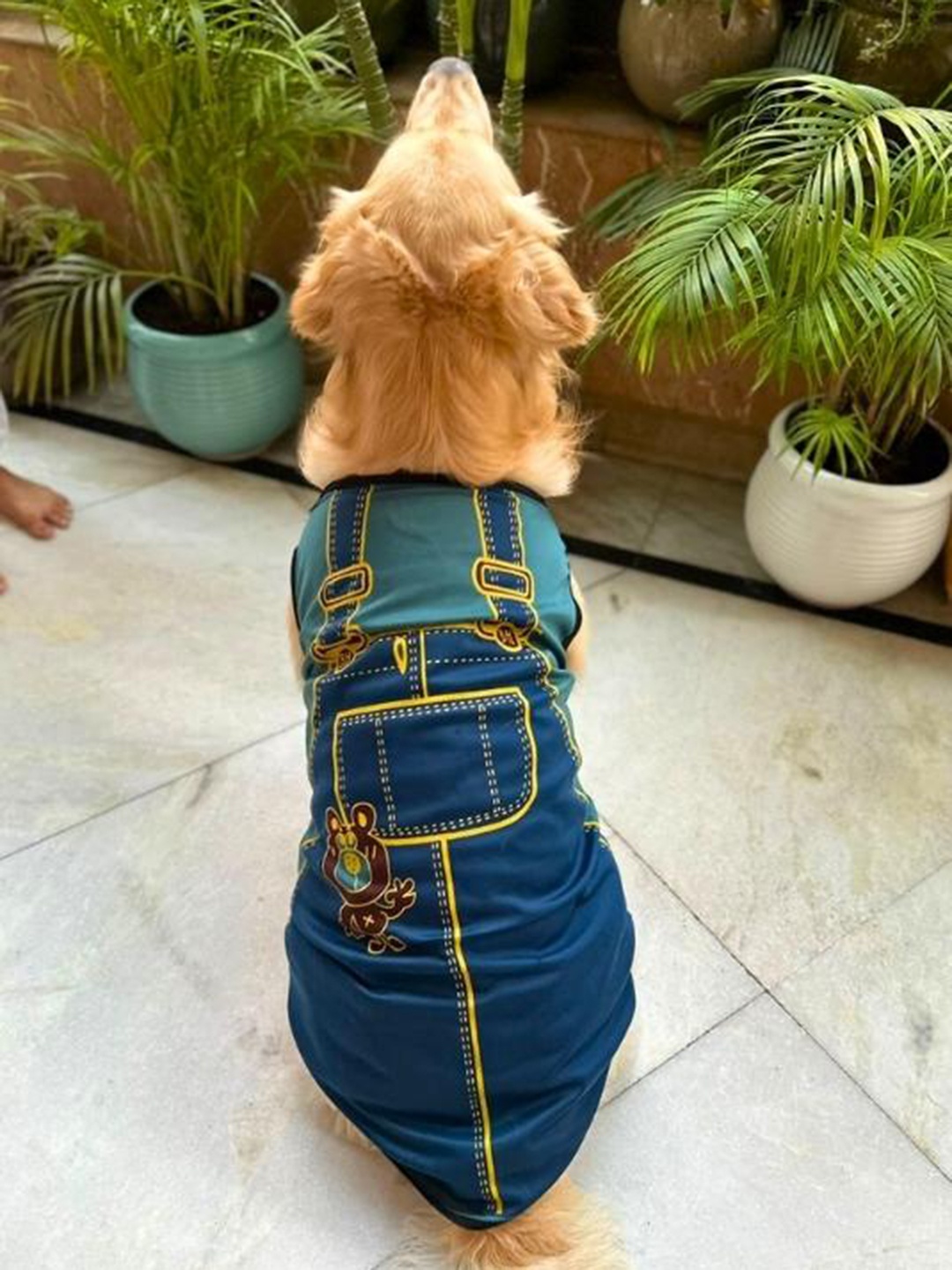 

Lulala Printed Breathable And Lightweight Dog T-Shirt, Blue