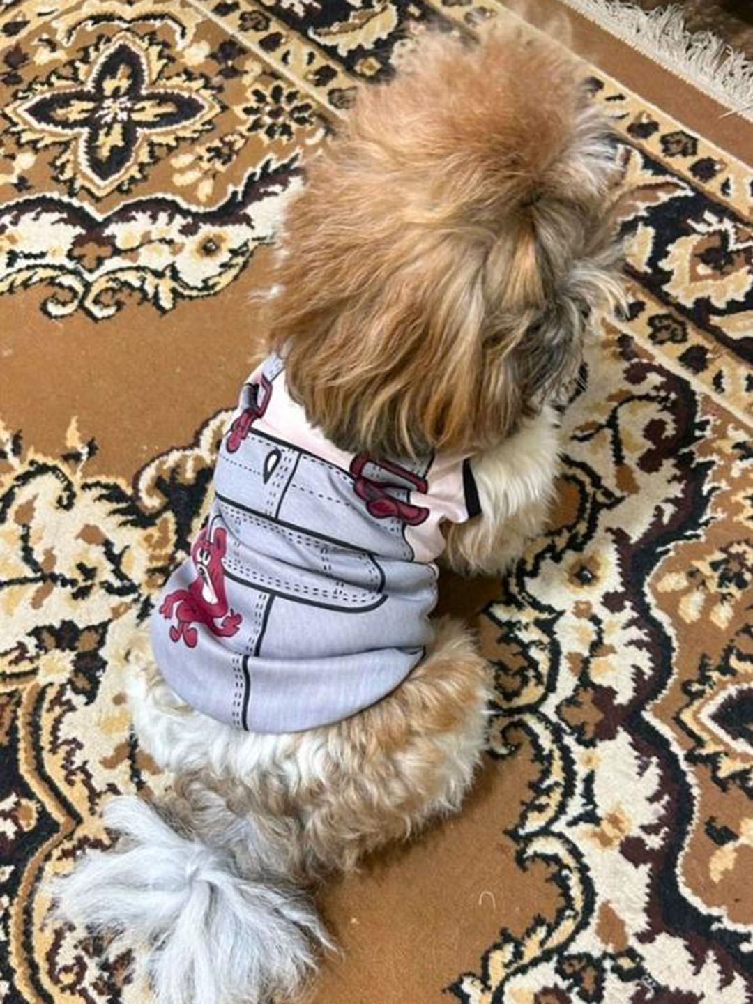 

Lulala Printed Breathable And Lightweight Dog T-Shirt, Blue