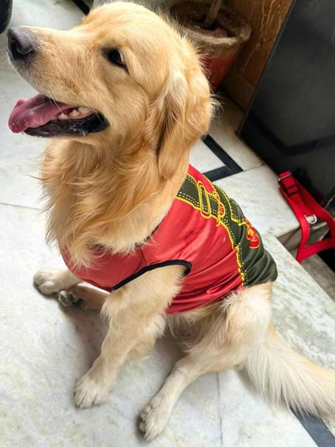 

Lulala Printed Dog T-Shirt, Red