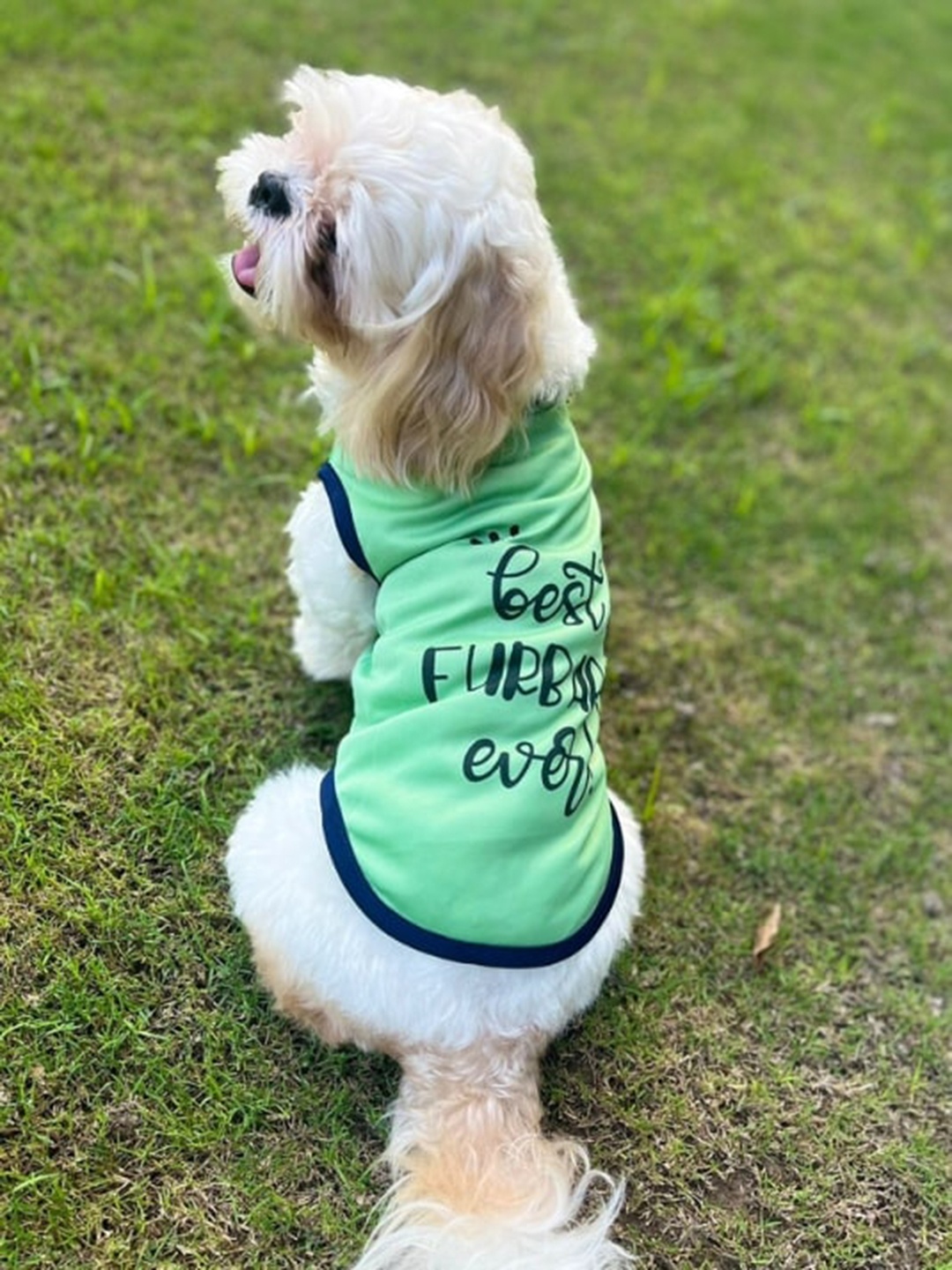 

Lulala Printed Dog T-shirt, Green