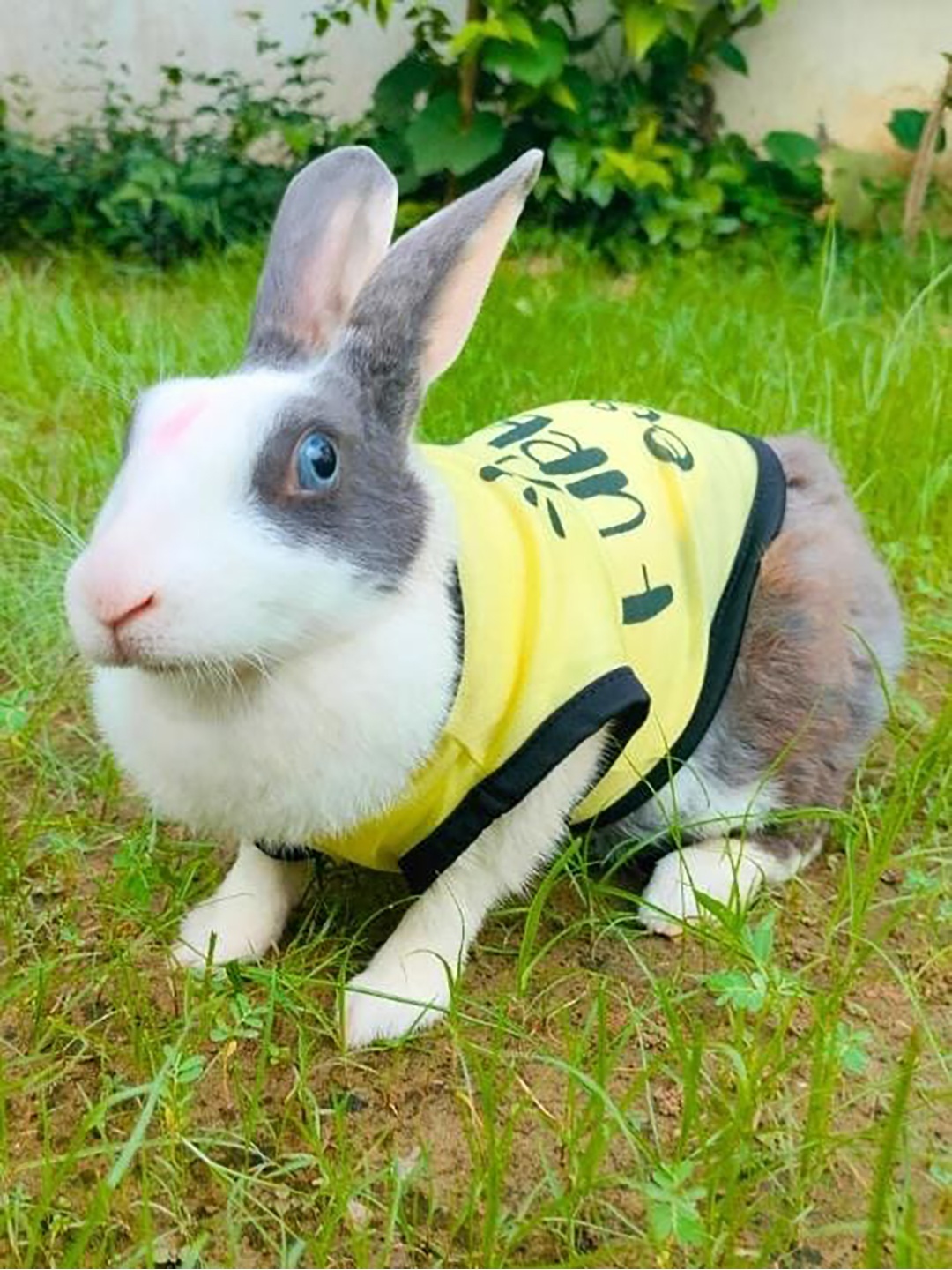 

Lulala Printed Rabbit T-shirt, Yellow