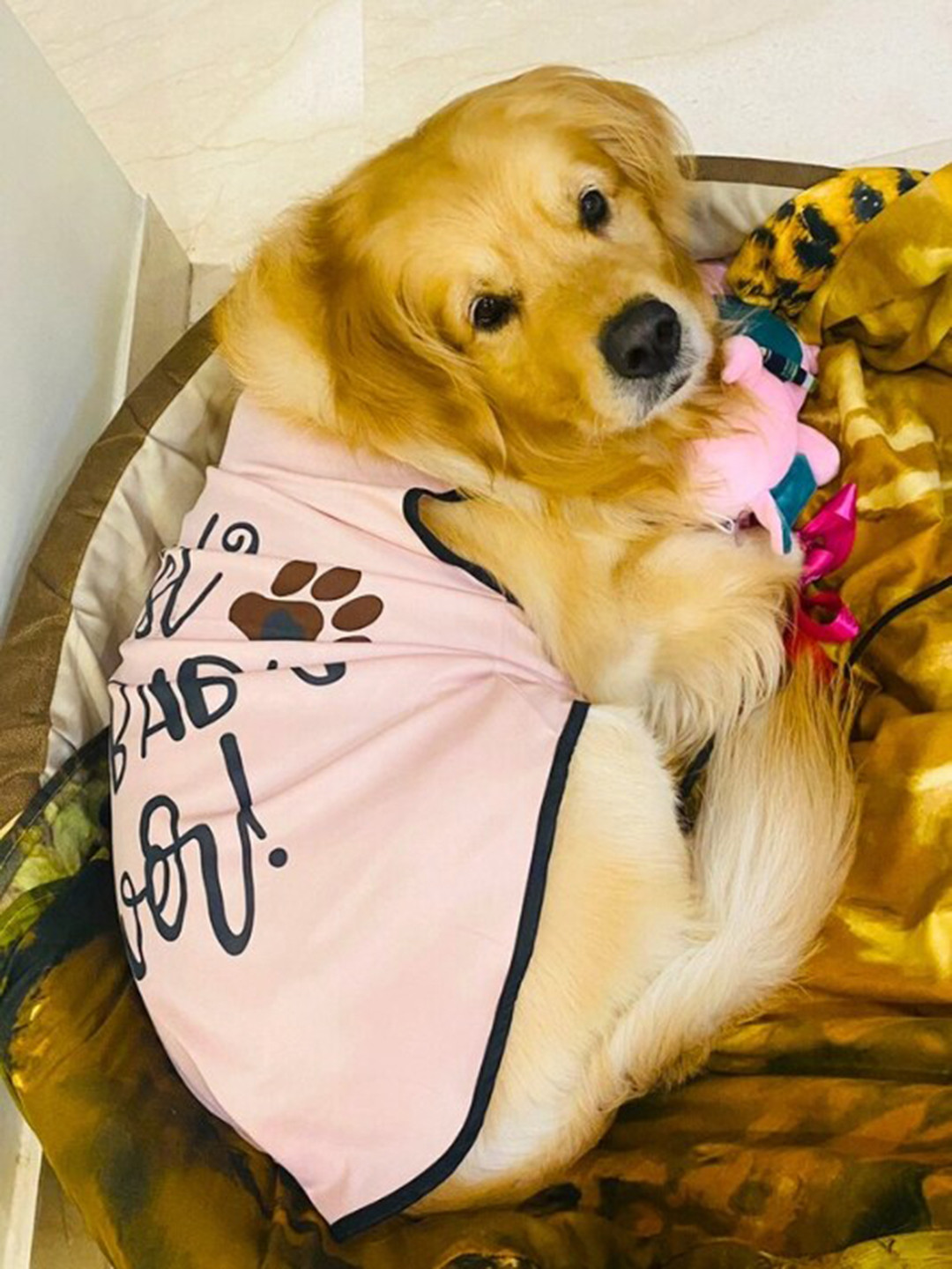 

Lulala Printed Dog T-shirt, Pink
