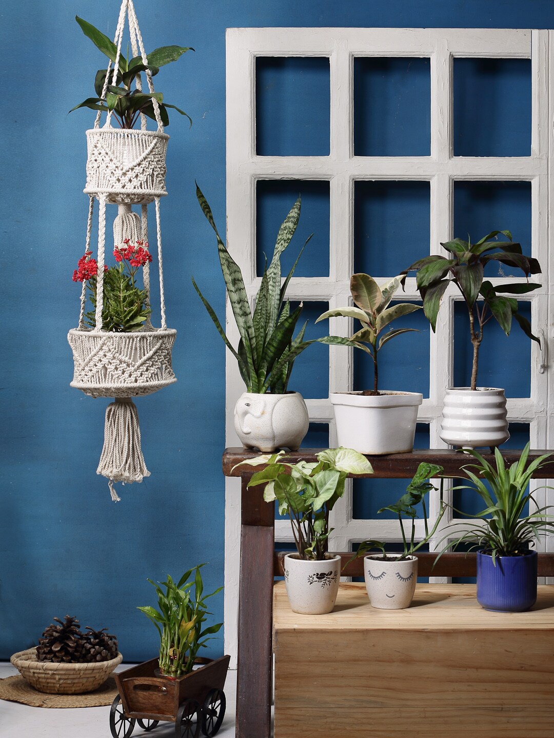 

ANWYN Beige Textured Plant Holder