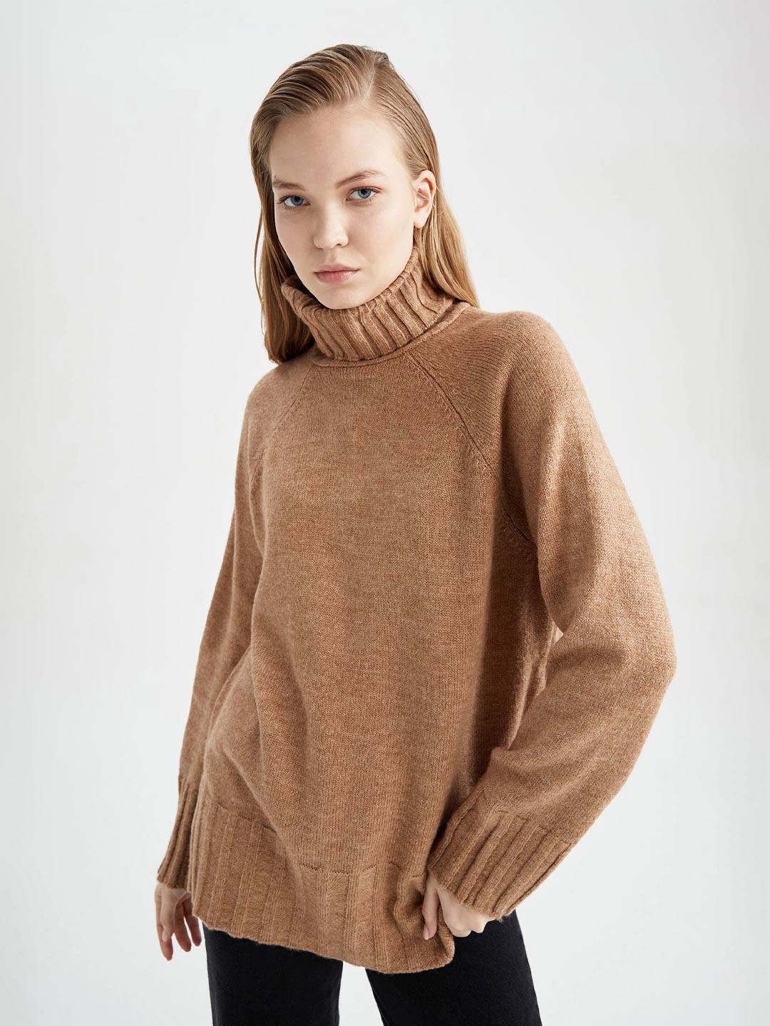 

DeFacto Turtle Neck Ribbed Hem Pullover Sweatshirt, Beige