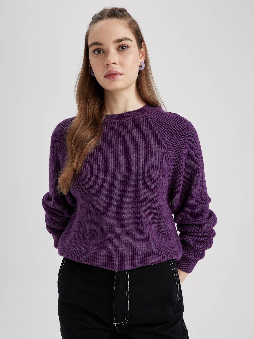 

DeFacto Self Design Cable Knit Acrylic Ribbed Knitted Pullover, Violet