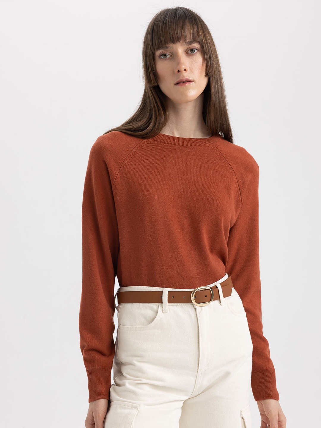 

DeFacto Raglan Sleeves Round Neck Acrylic Pullover Sweater, Brown