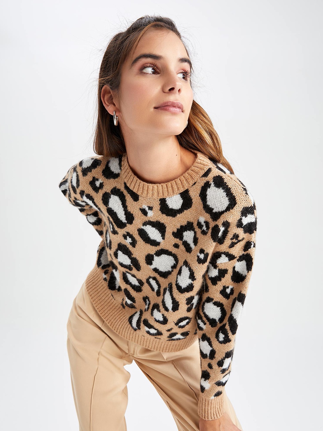 

DeFacto Animal Printed Pullover, Brown