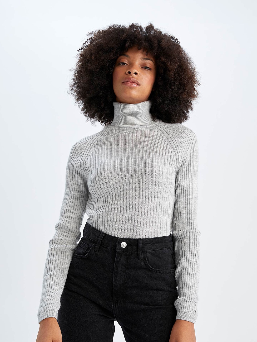 

DeFacto Women Turtle Neck Self Design Pullover, Grey