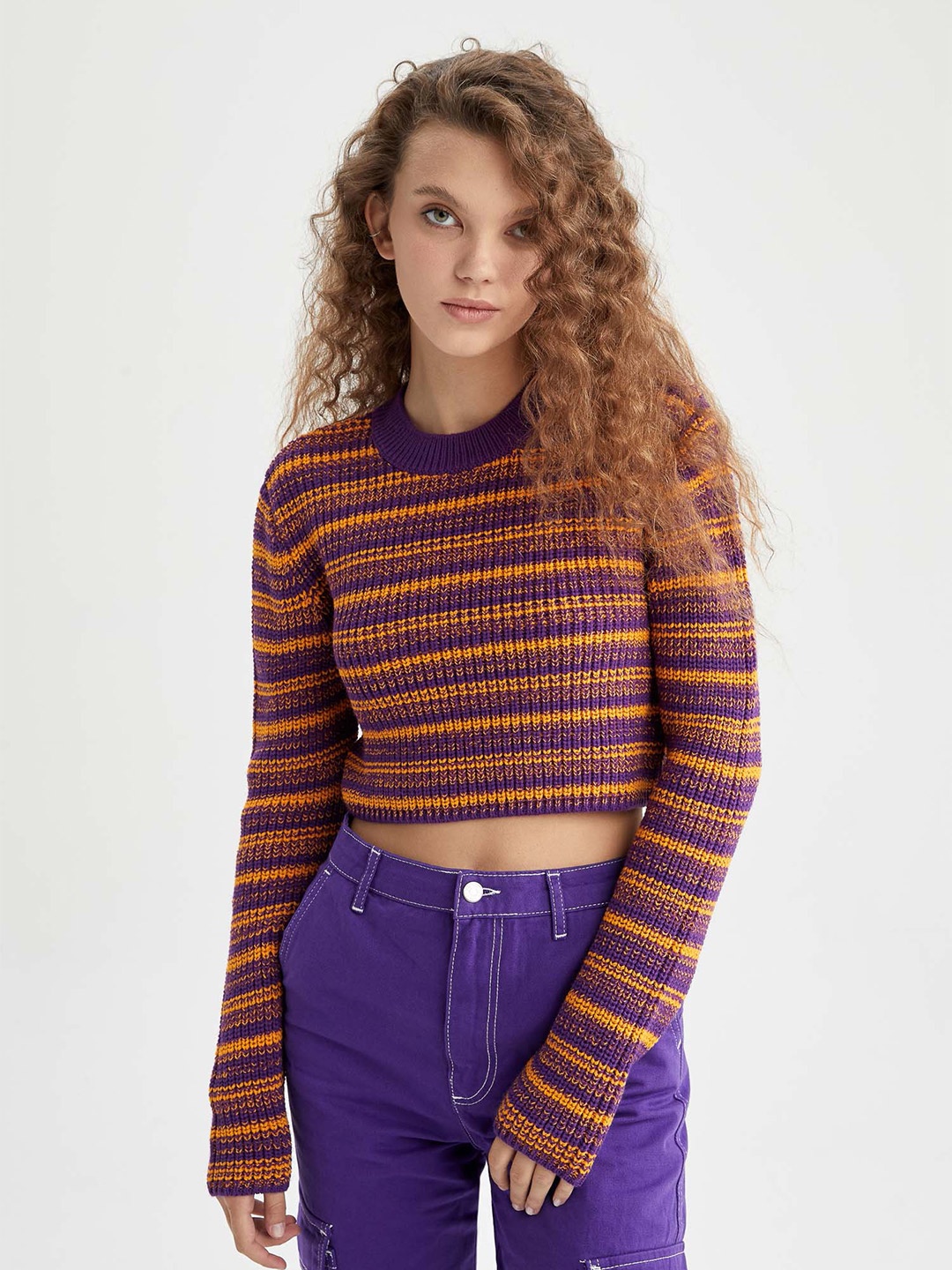 

DeFacto Striped Ribbed Crop Pullover, Violet