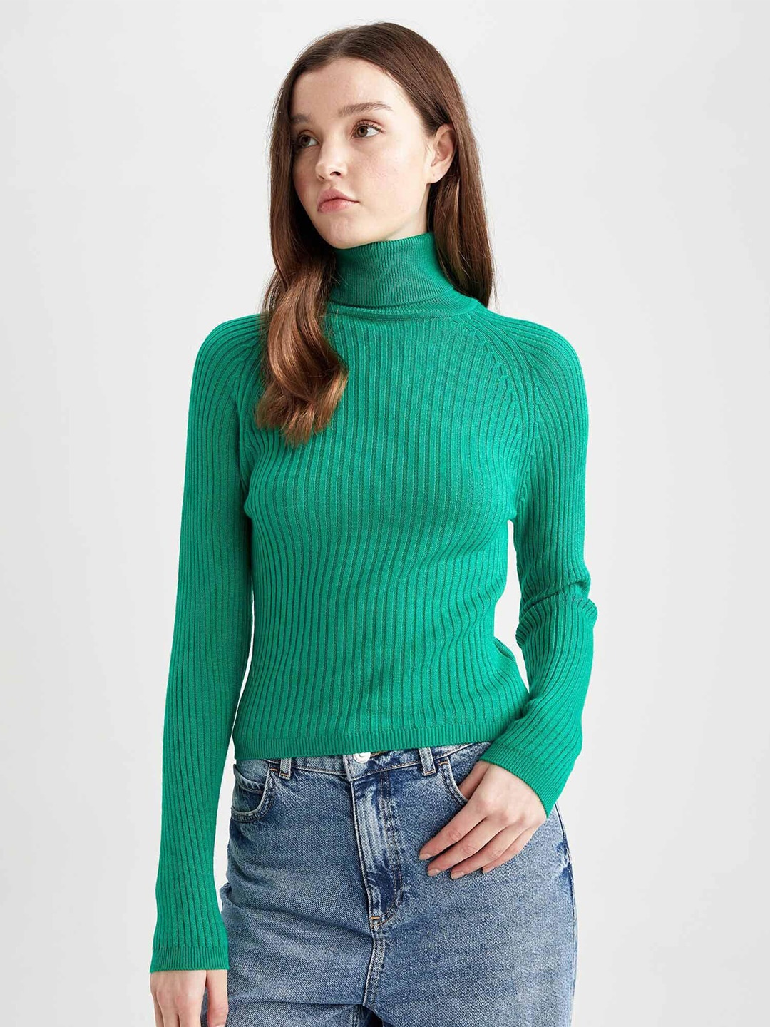 

DeFacto Turtle Neck Cable Knit Pullover, Green