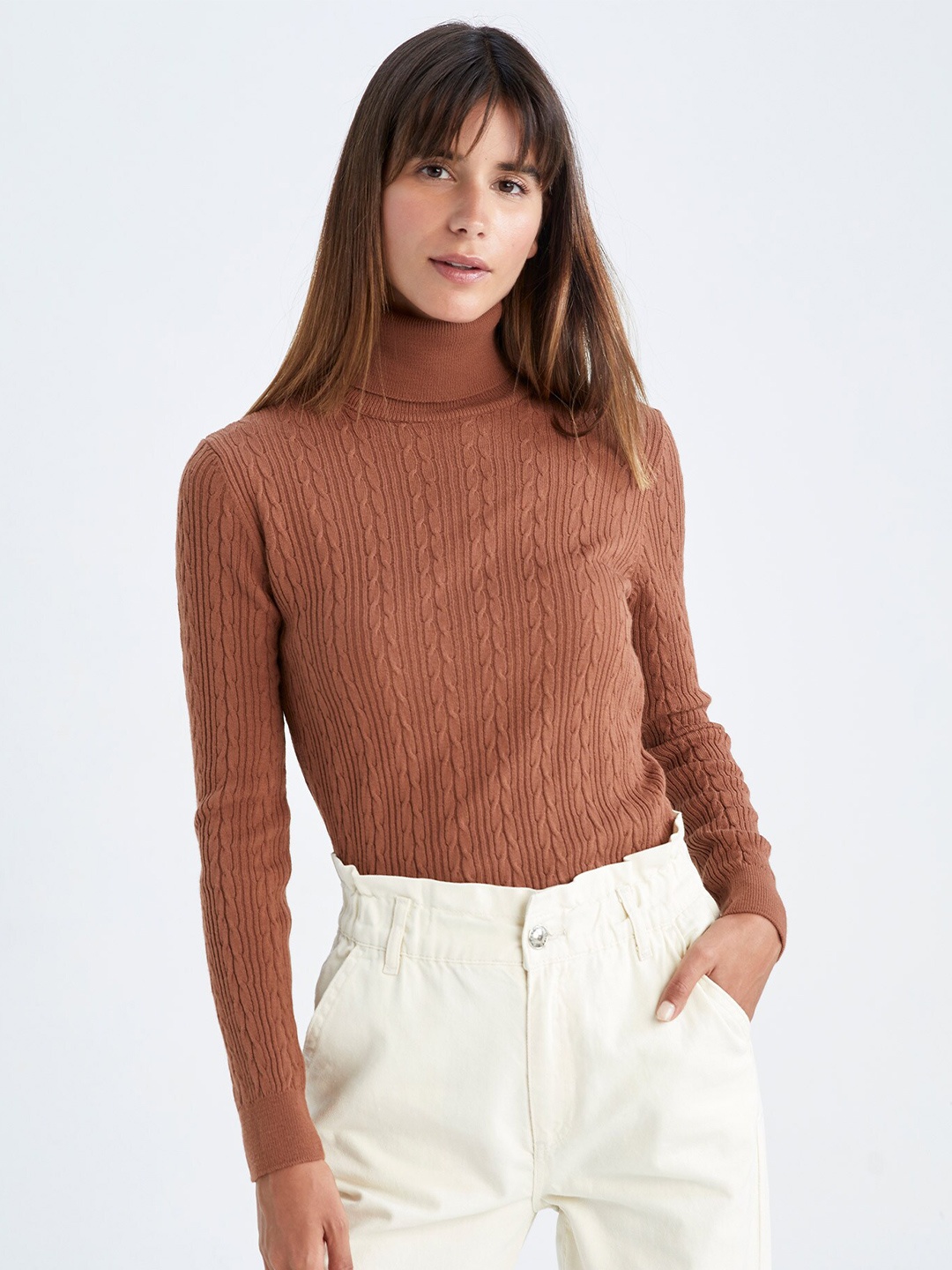 

DeFacto Cable Knit Turtle Neck Acrylic Pullover Sweater, Brown