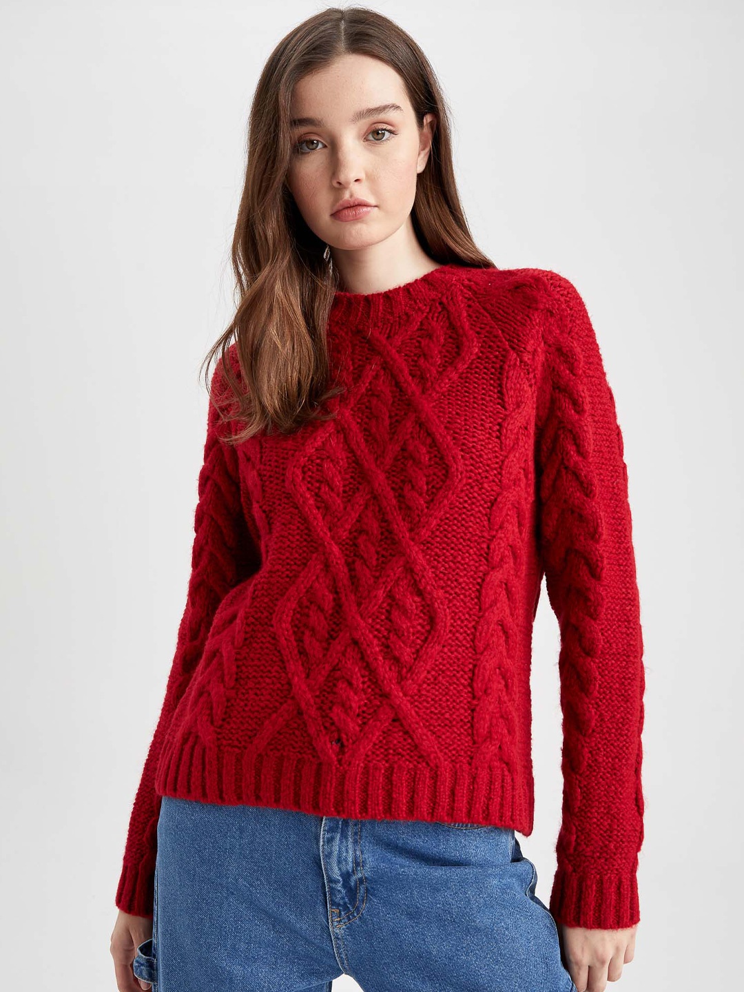 

DeFacto Cable Knit Self Design Pullover Sweater, Maroon