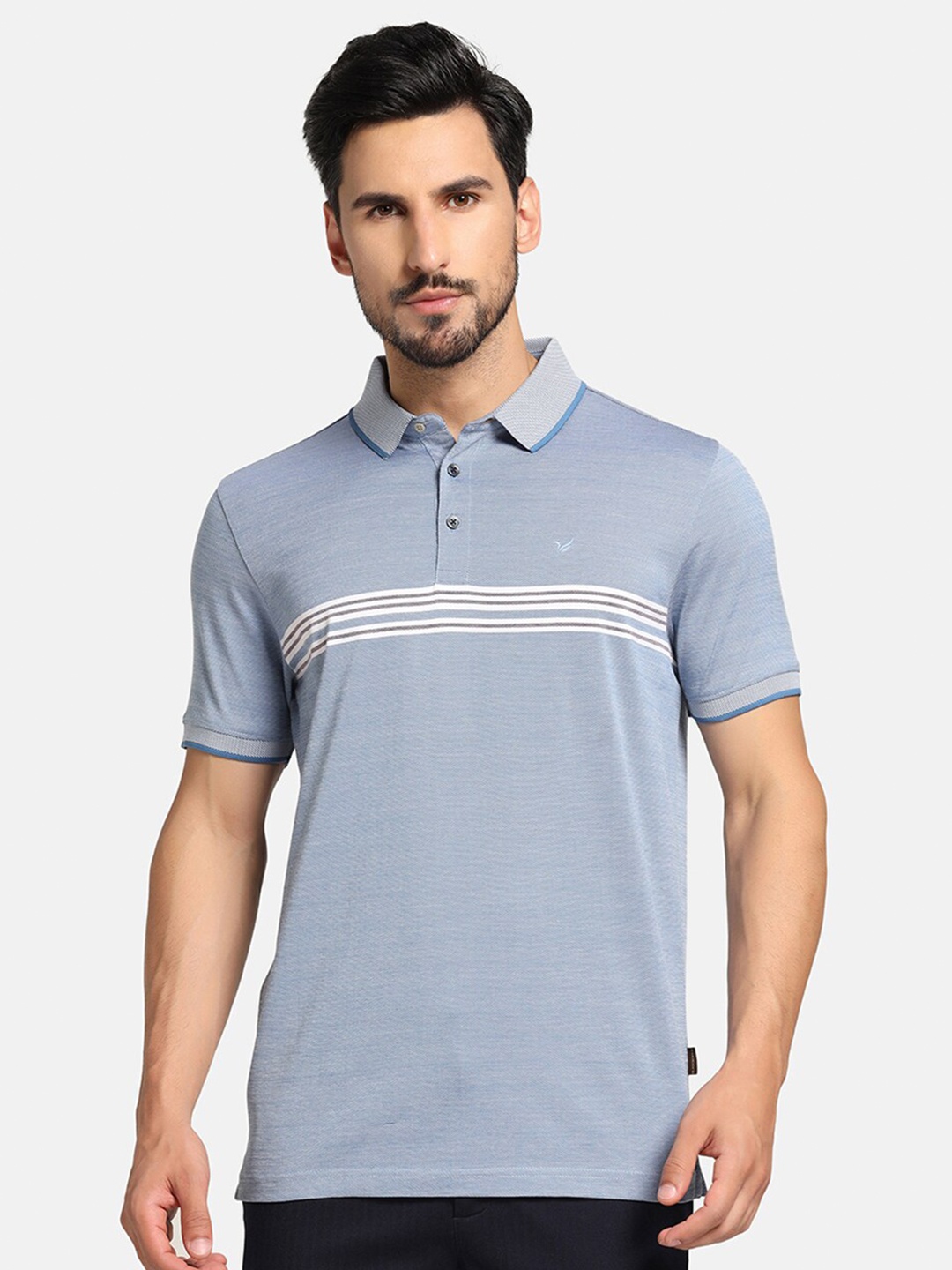 

Blackberrys Striped Polo Collar Cotton Slim Fit T-shirt, Blue