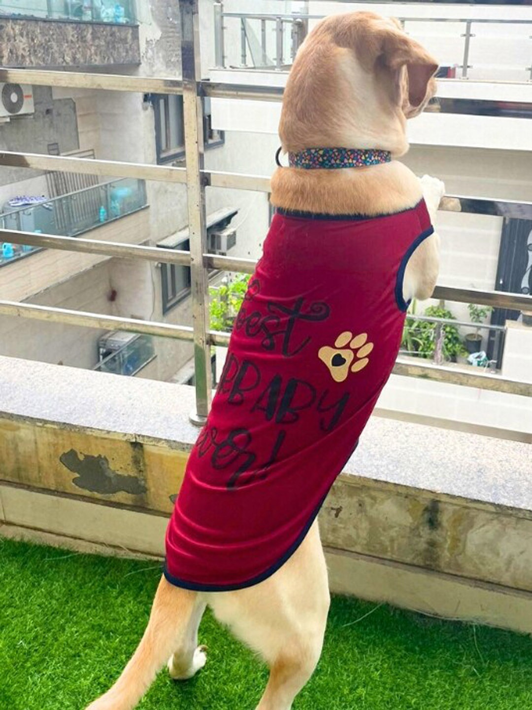 

Lulala Red Typography Printed Cotton Dog Tshirt