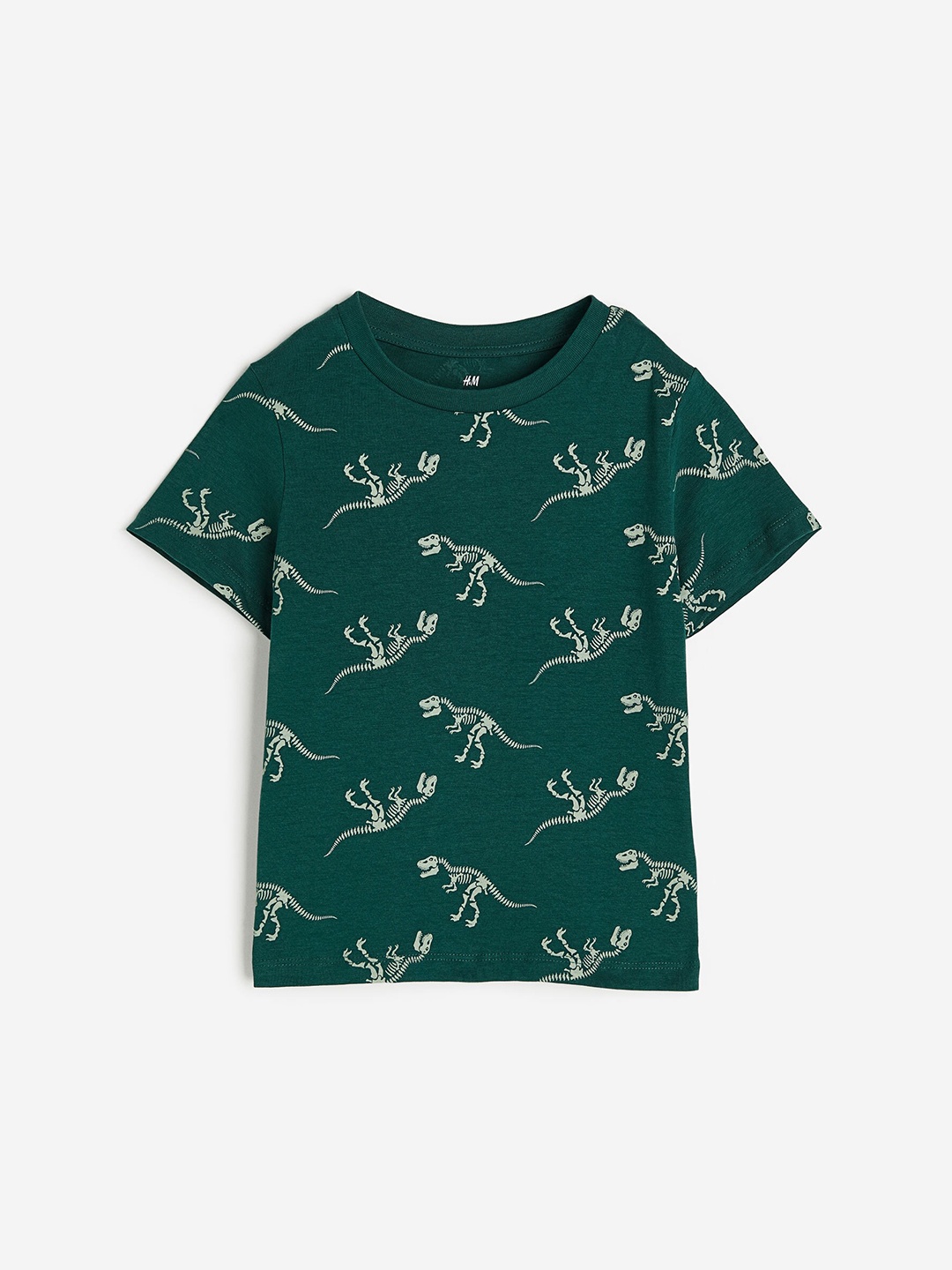 

H&M Boys Cotton Jersey T-Shirt, Green