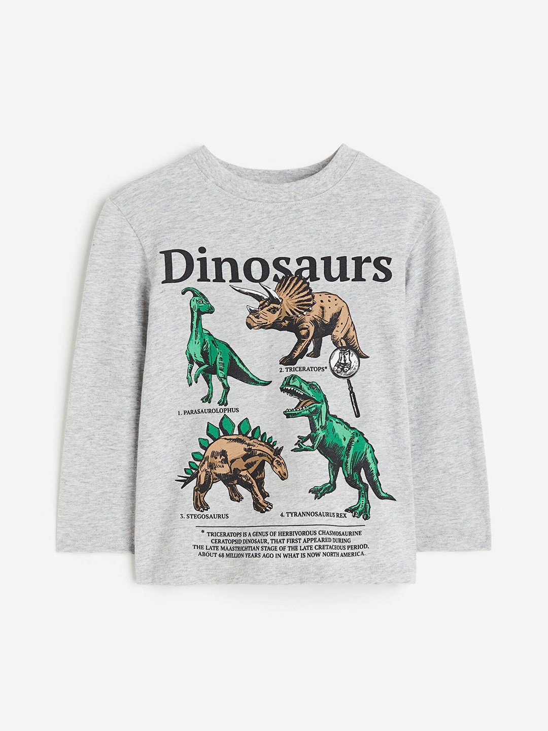 

H&M Boys Printed Jersey Top, Grey