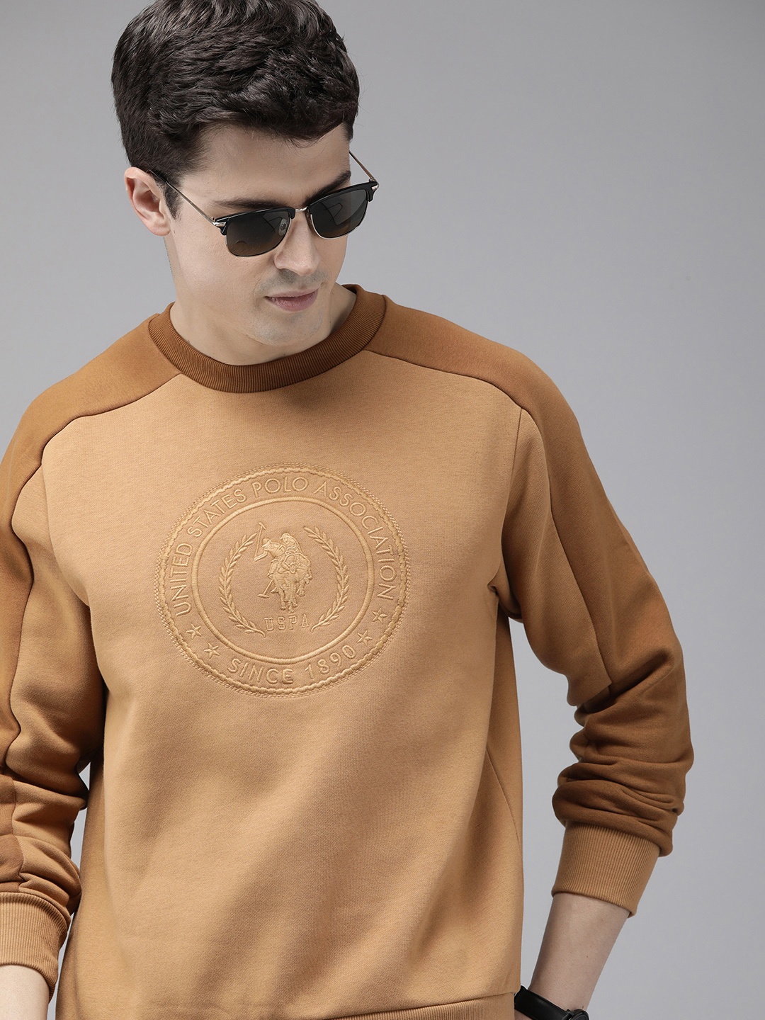 

U.S. Polo Assn. Colourblocked Embroidered Pullover Sweatshirt, Brown