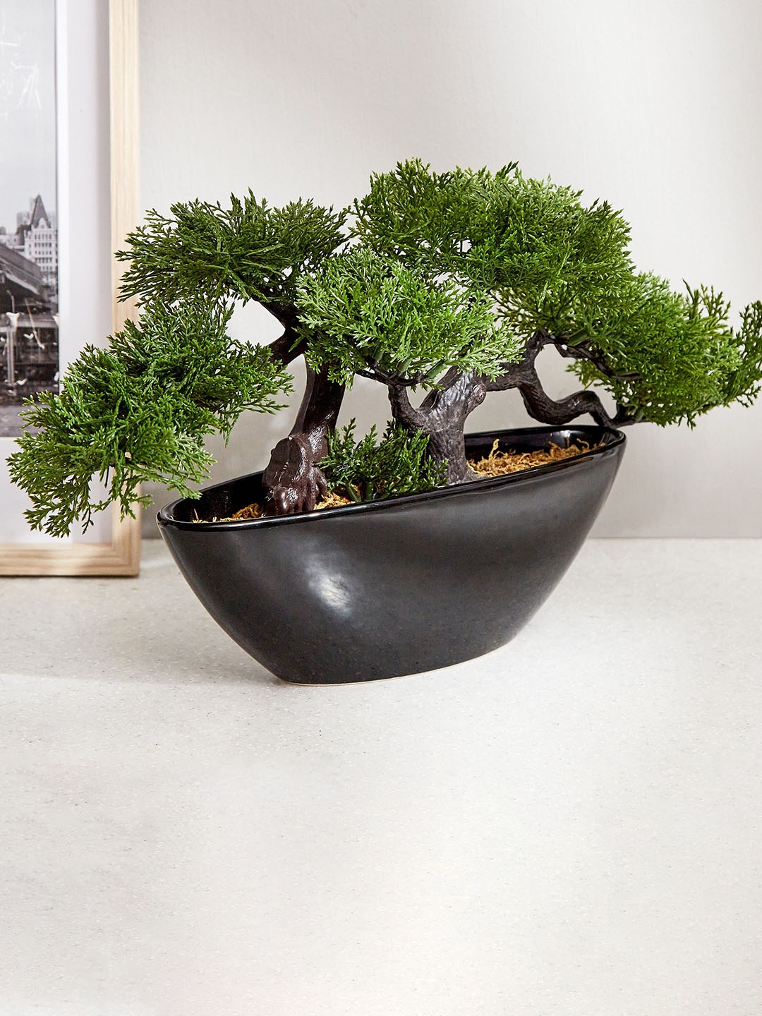 

Home Centre Green & Black Bonsai Plant With Ceramic Pot
