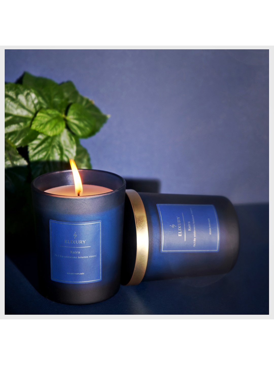 

Elixury Kaira Bougie Blue Parfum Candle 200 g